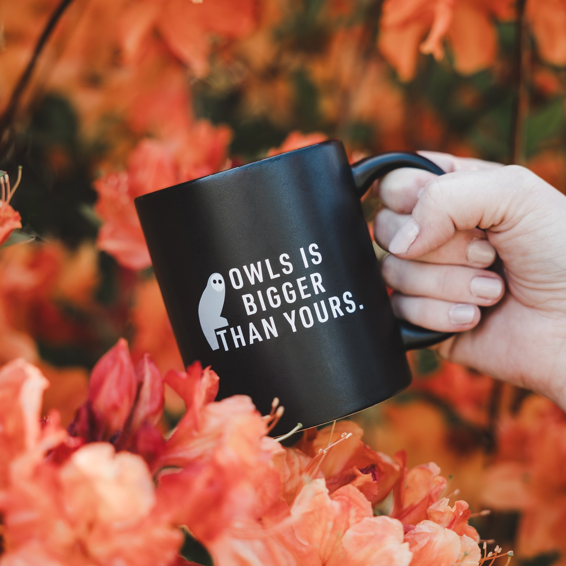 NS-Owl Mug-1.jpg