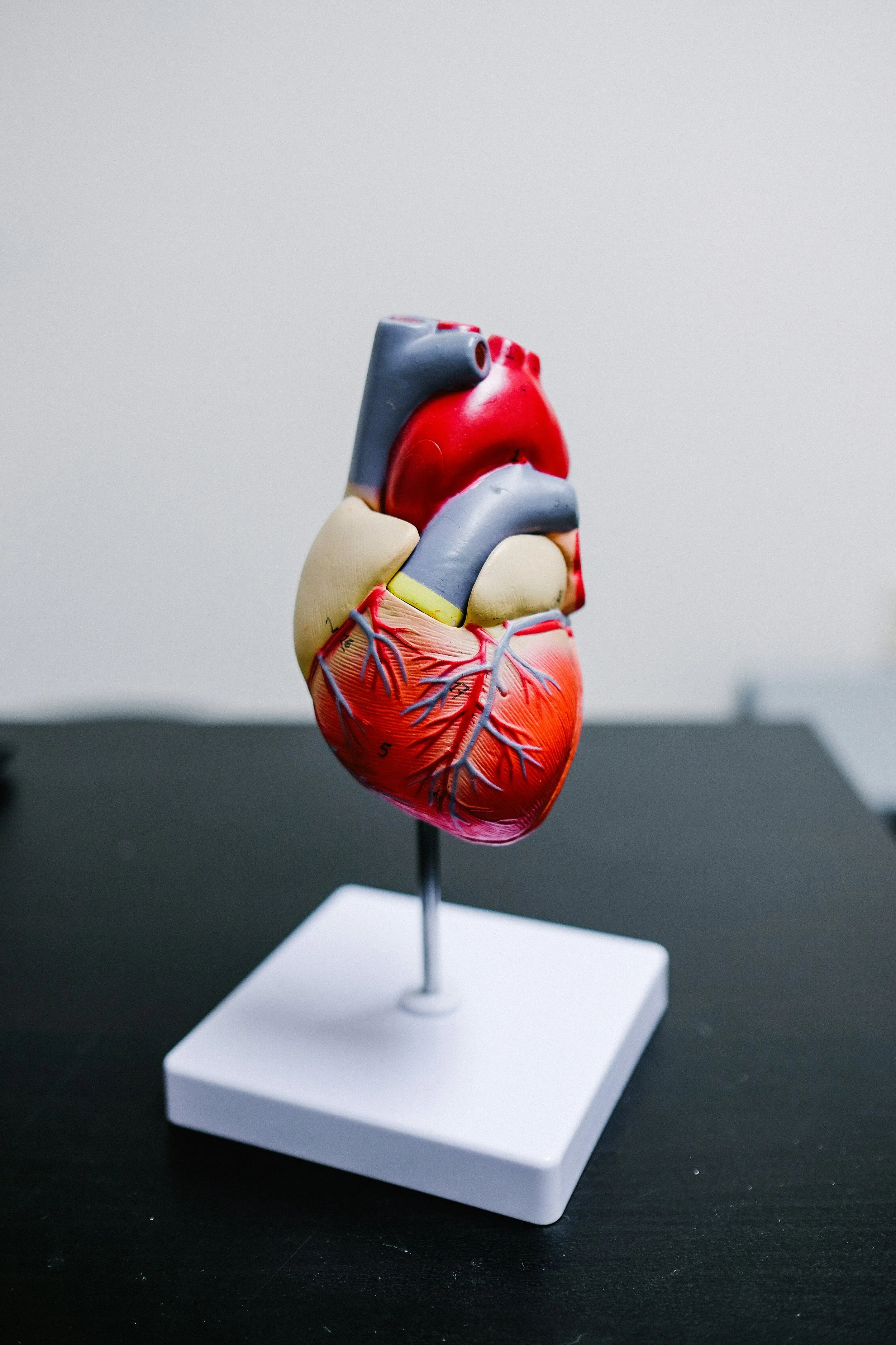 Chattanooga Heart Institute Data Breach Settlement: File a Claim for Up to $5,500 by July 13, 2026