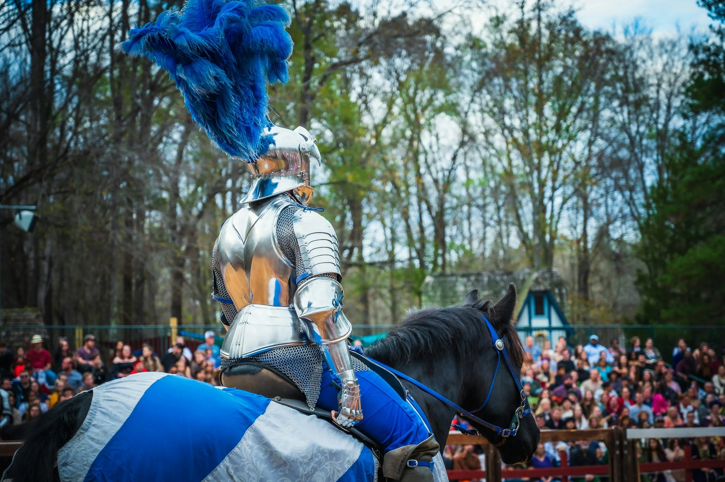 NY Renaissance Faire Ticket Fee Class Action Settlement