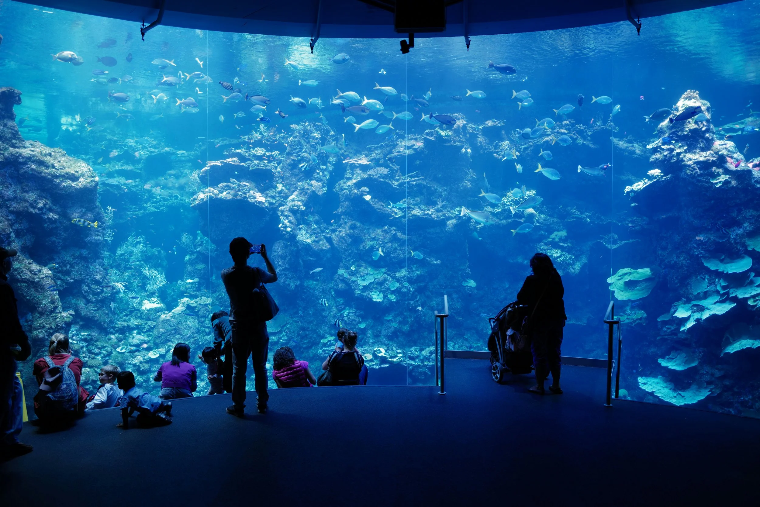 The Florida Aquarium Data Breach Lawsuit Investigation