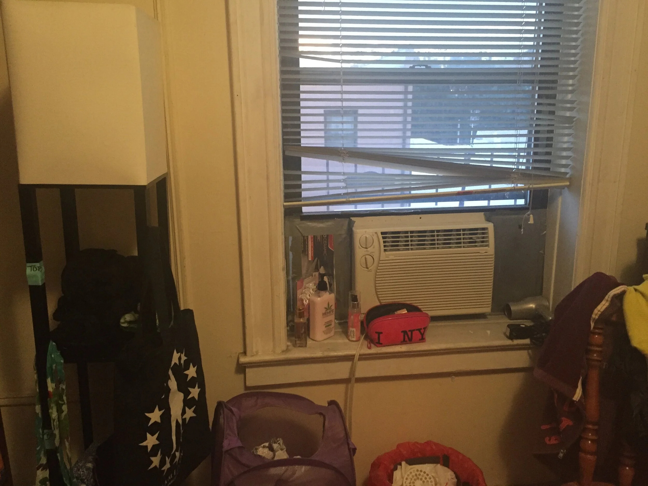 shelf by window.jpg