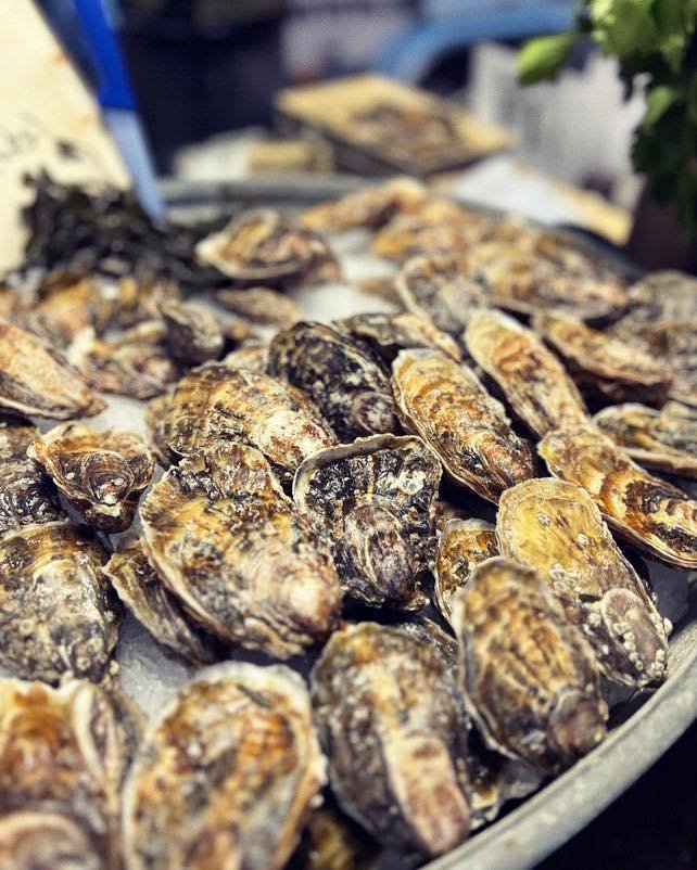 Oester Zilt en Zonen