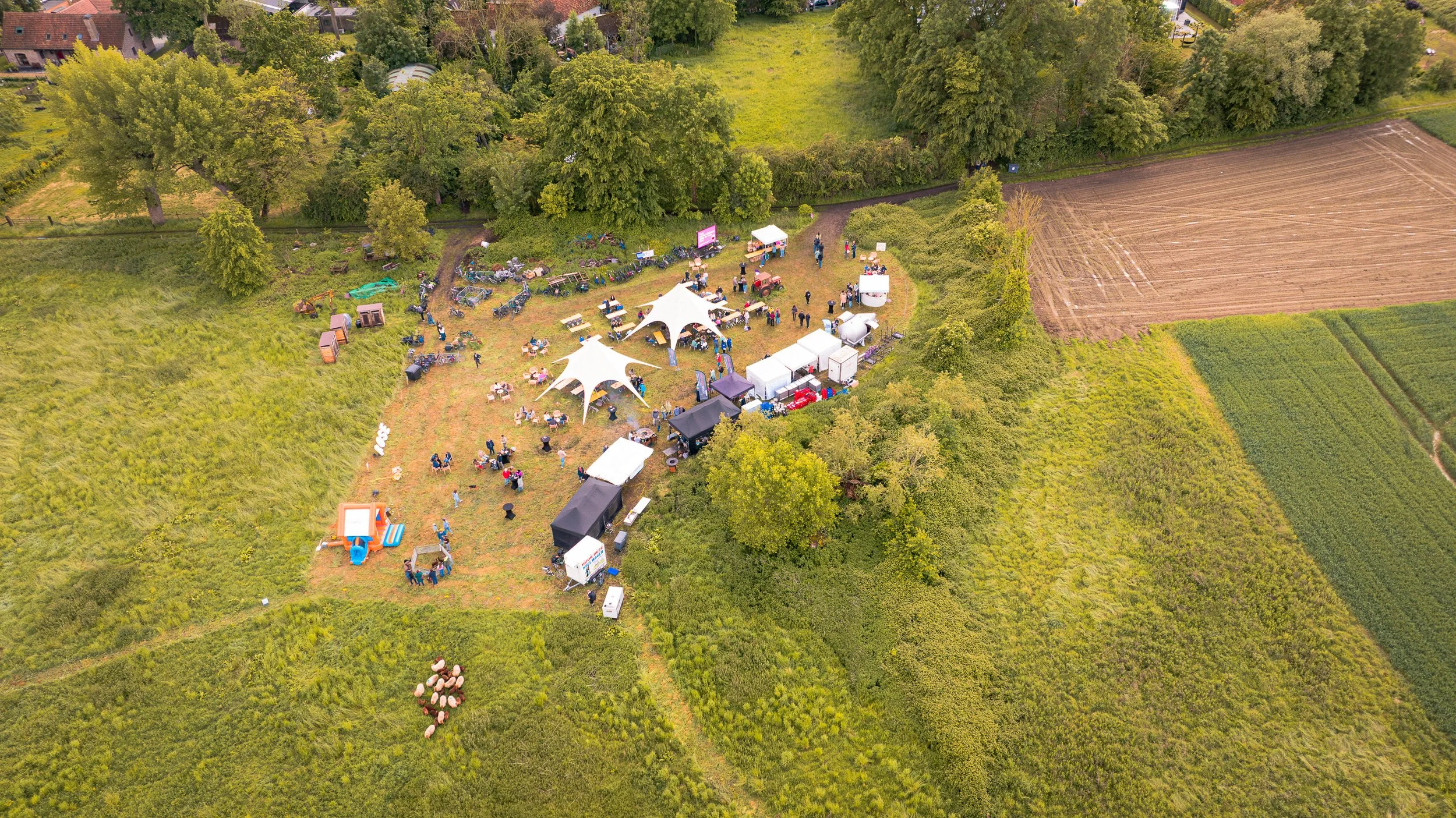 DJI_0122.jpg