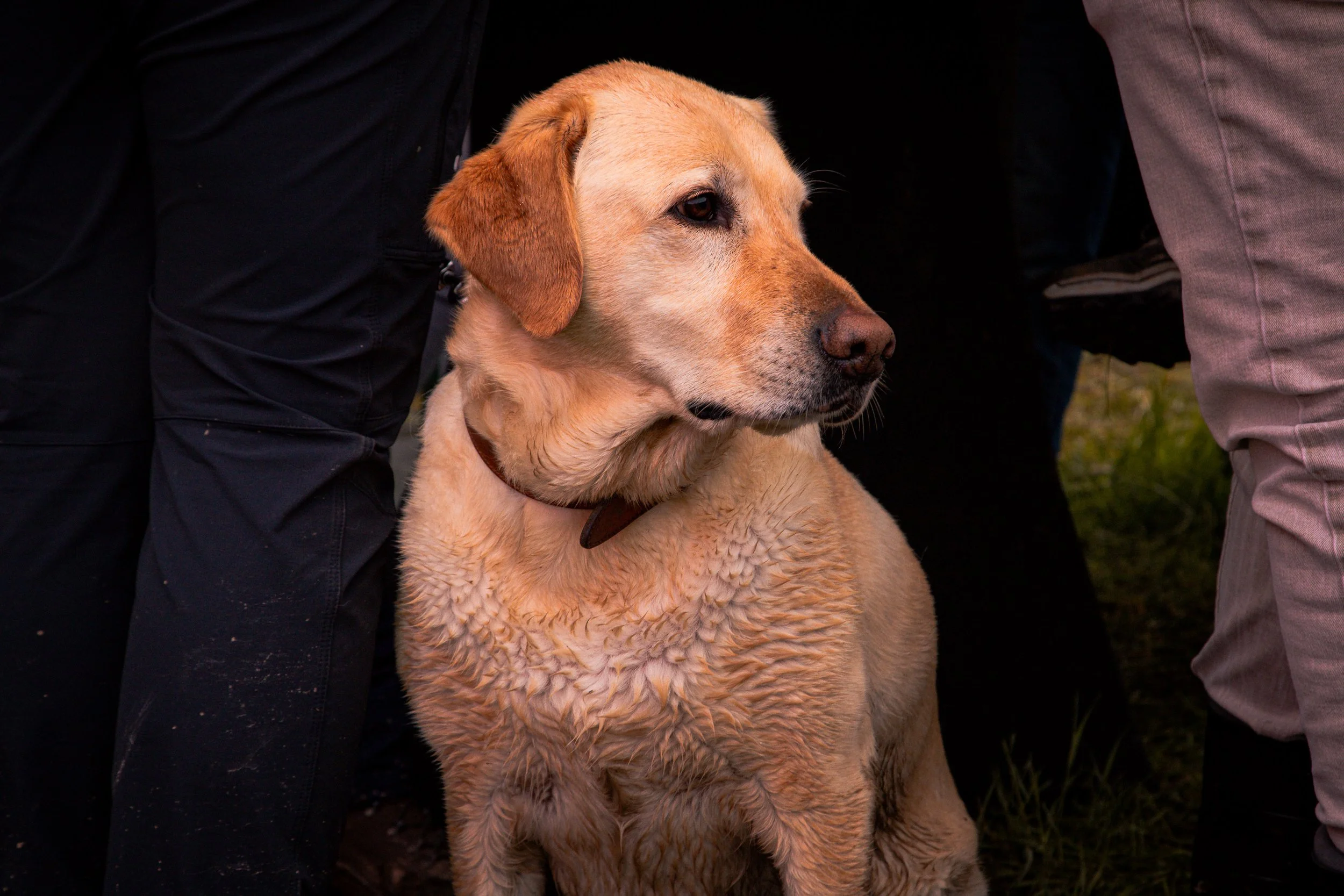 _MG_5269.jpg