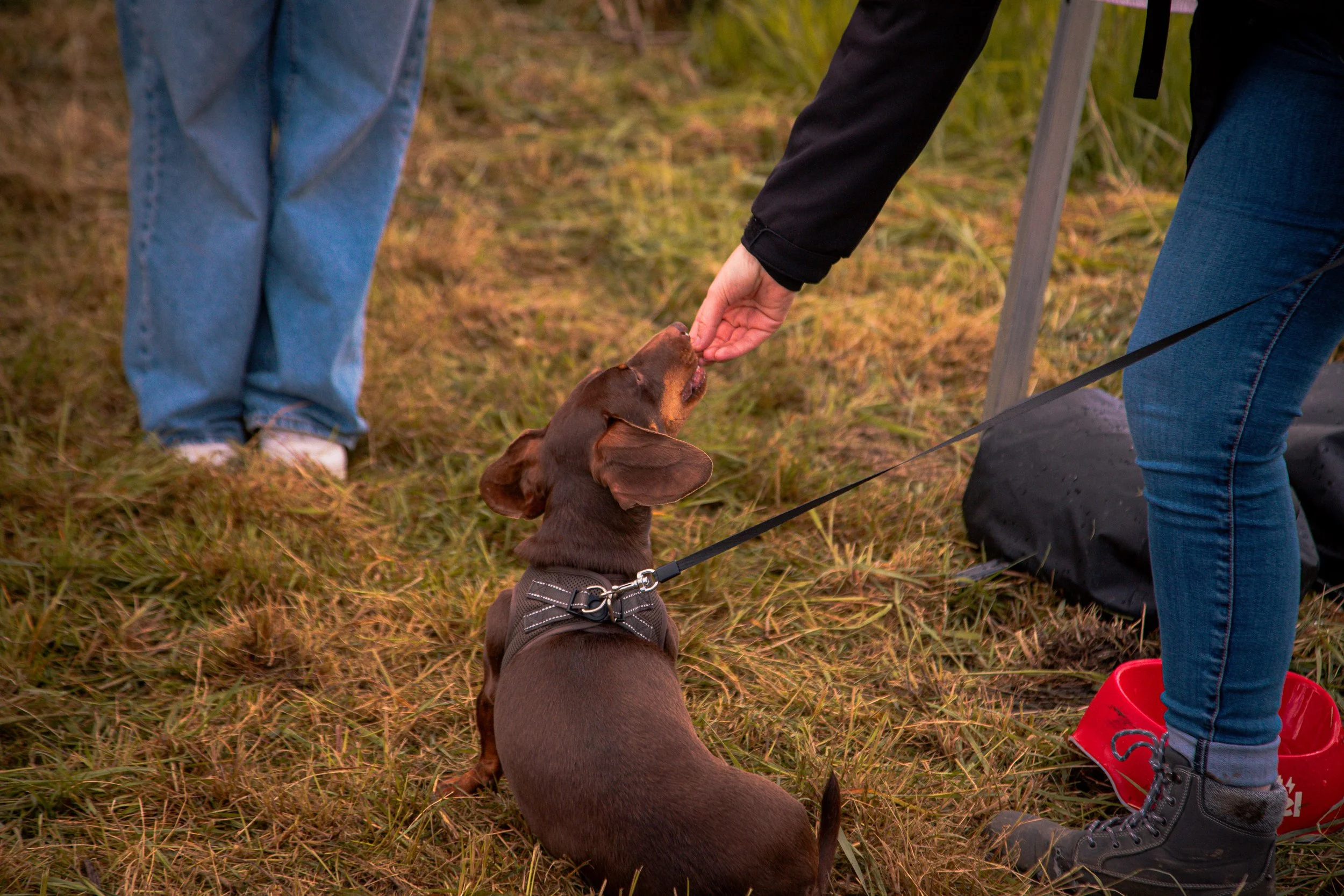 _MG_4950.jpg