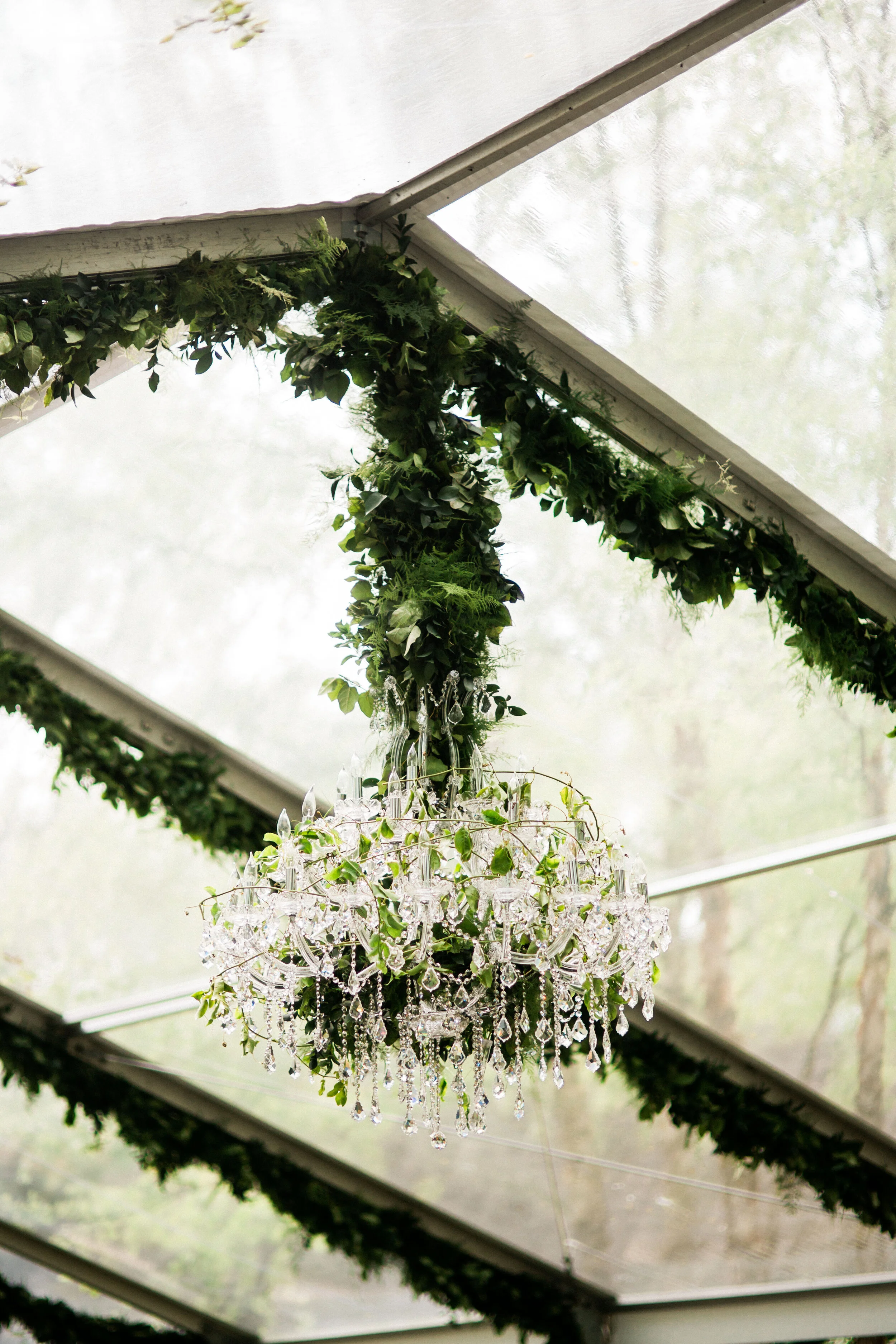 Ornate crystal chandelier hanging from a ceiling draped with green foliage in a transparent tent structure.
