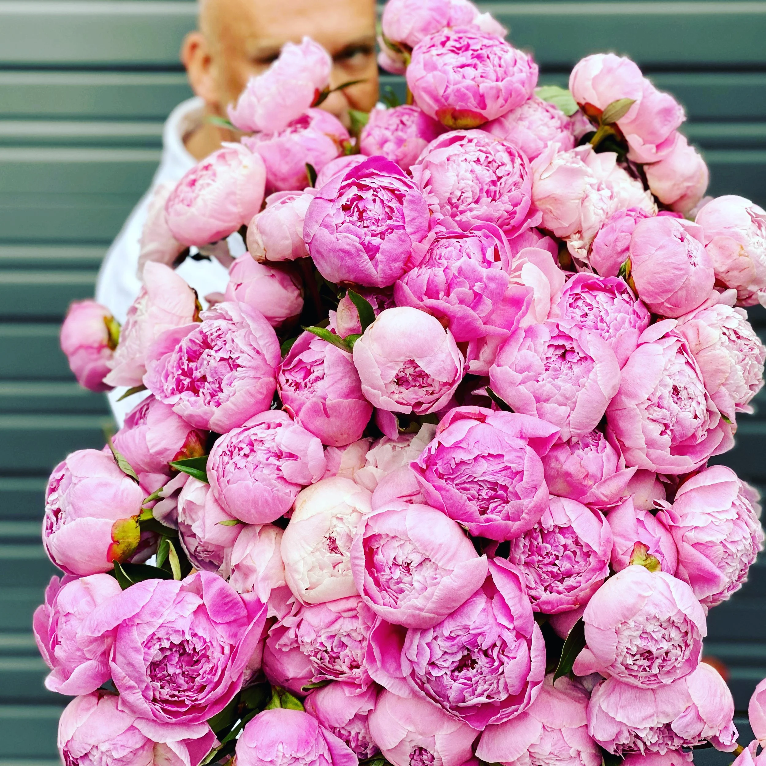 Enormous pink peony bouquet