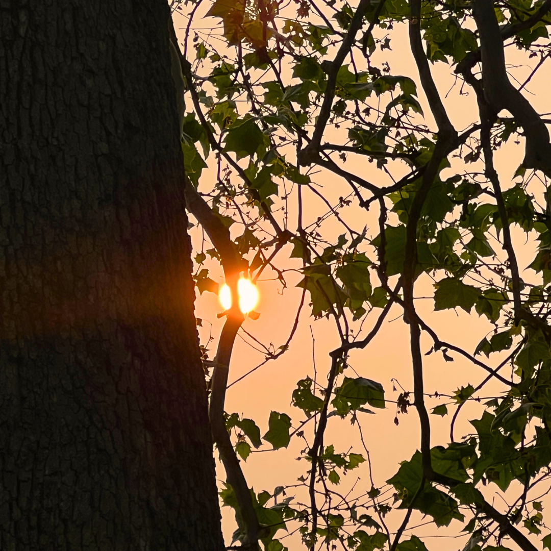 AUTUMN EQUINOX MINI RETREAT
