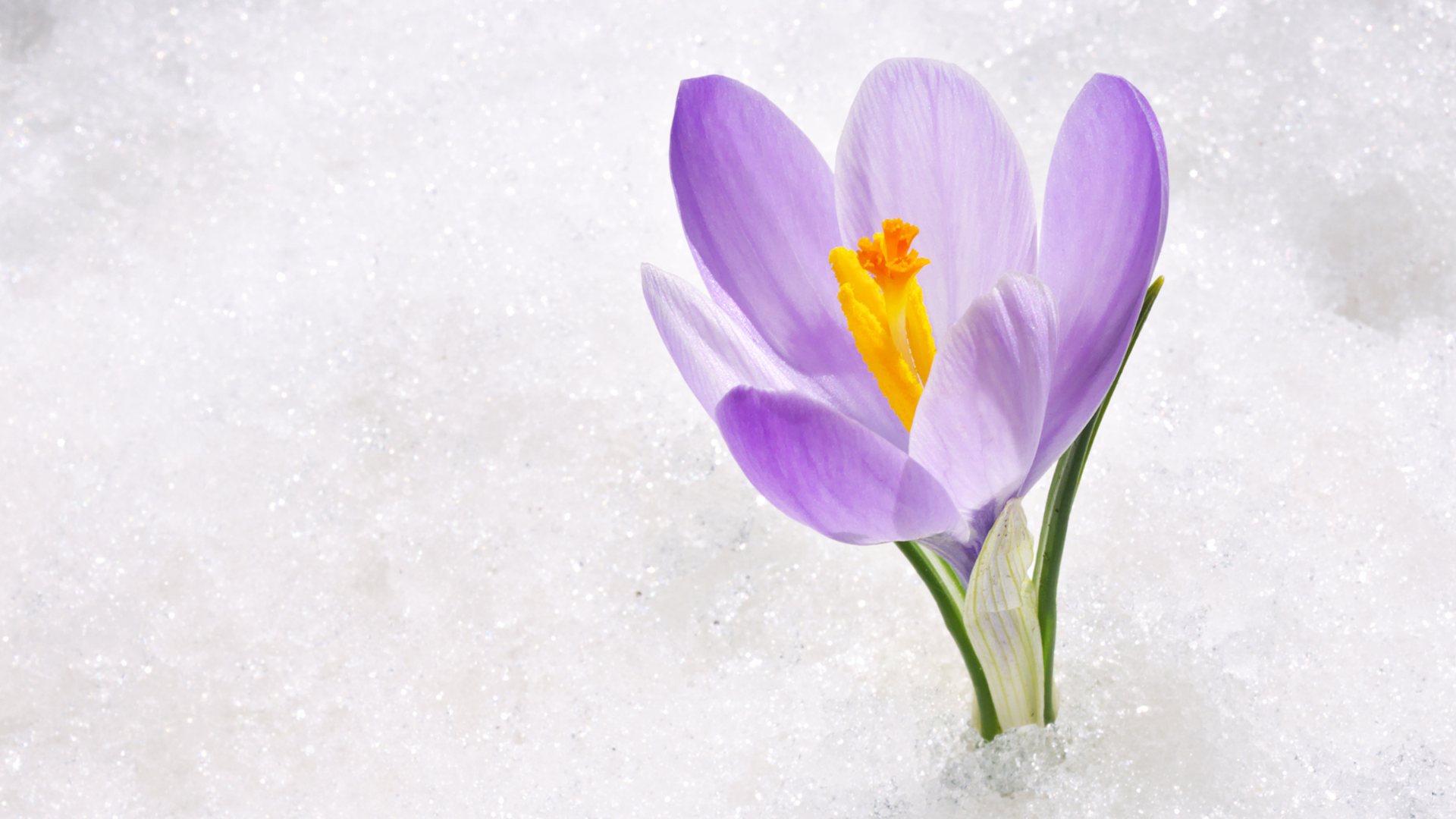 BEGIN AGAIN WORKSHOP 