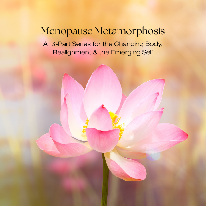 MENOPAUSE METAMORPHOSIS Session 1 — The Changing Body: Becoming Primordial Goo