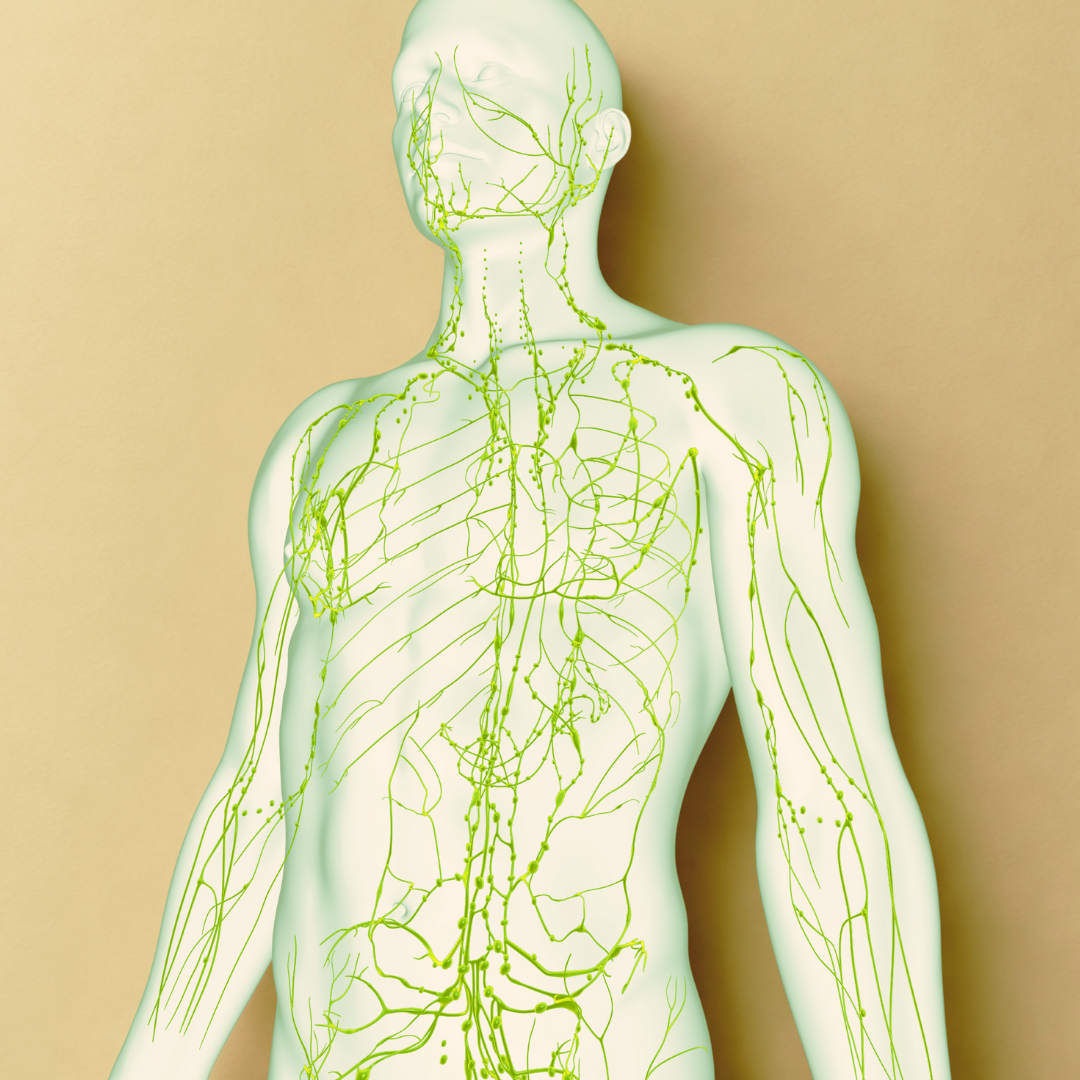 Award-Winning Massage Therapy | Exton, PA | The Healing Sanctuary — THE ...