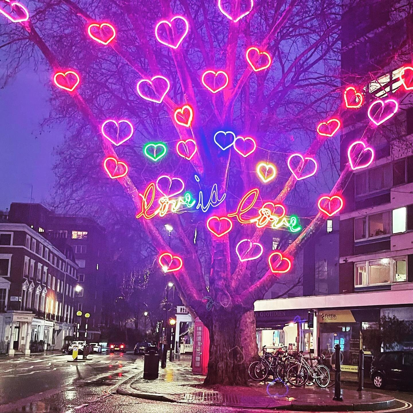 Take a picture under the tree of love when dining with us ❤️ To book your table visit our website or call us
#valentinesday  #valentinesday2022  #valentinesdaylondon  #vday  #loveislove
#indianrestaurantlondon #treeoflove