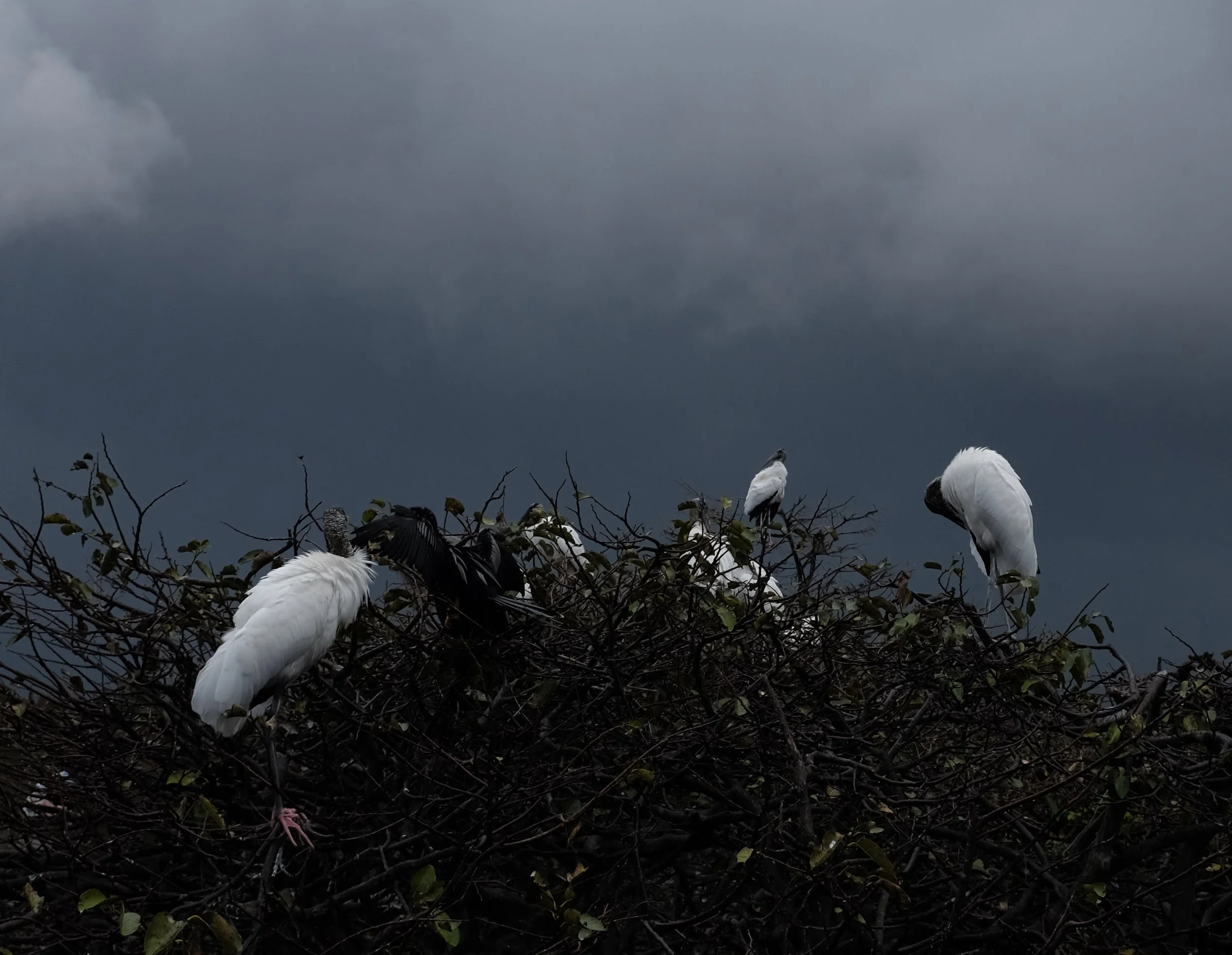 Melissa Smock Photography