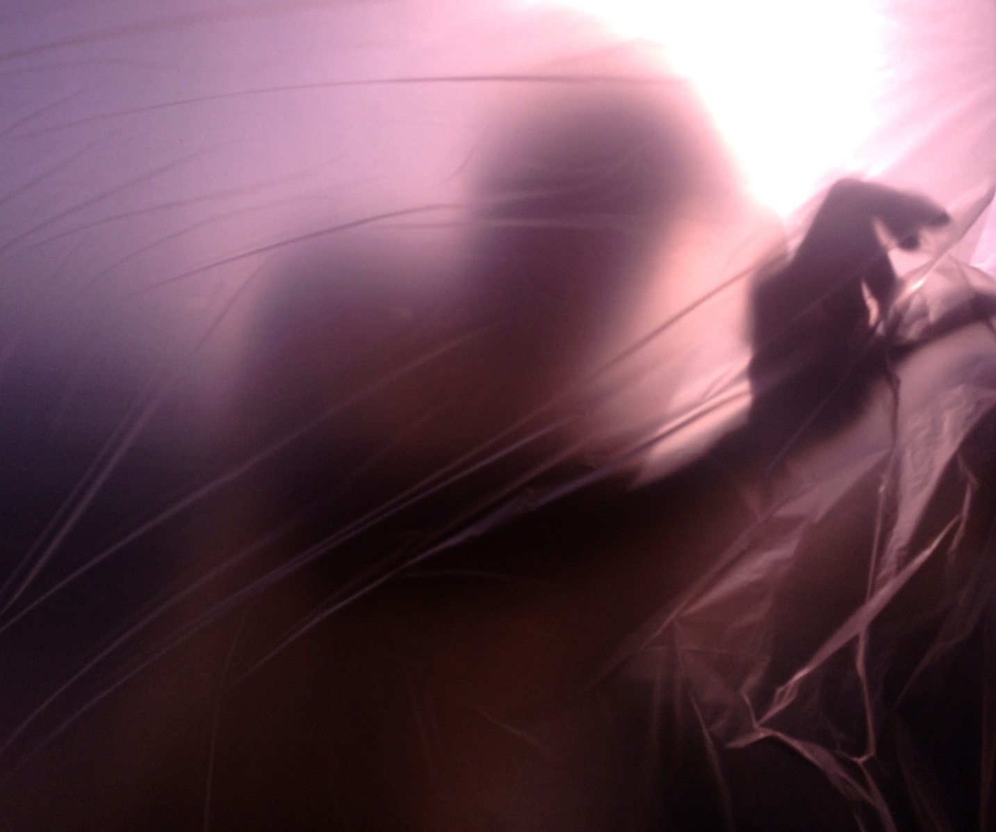 Melissa Smock Photography