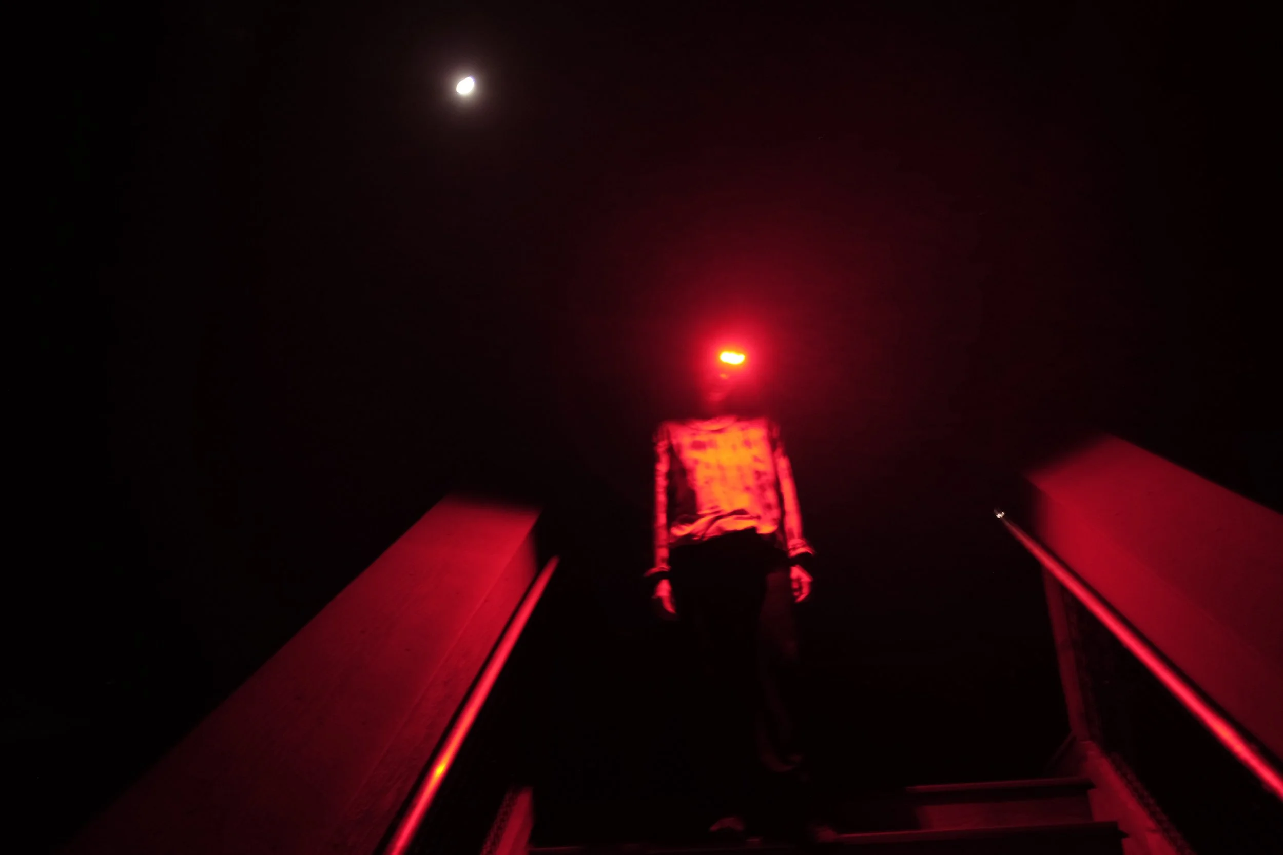 Melissa Smock Photography