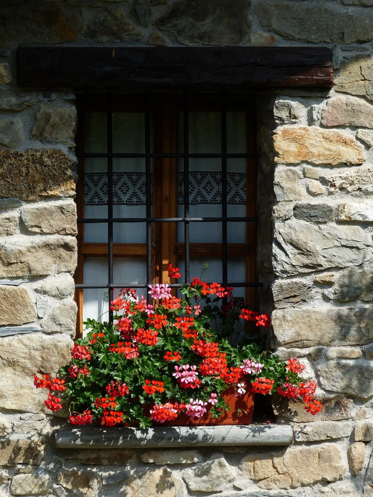 window-box-5-geraniums-177425_1920.jpg