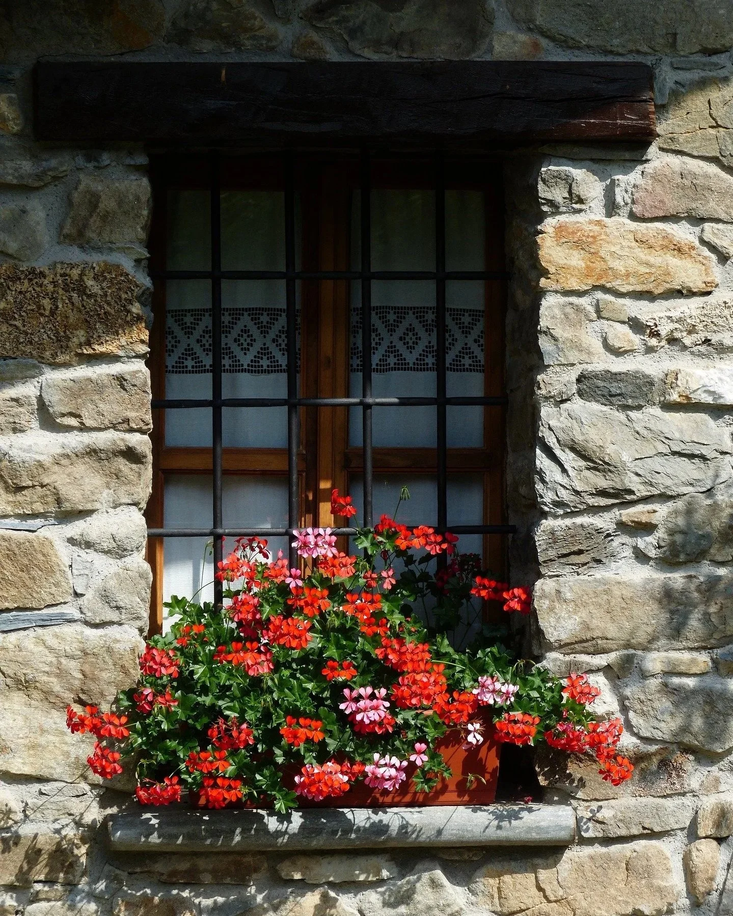 window-box-5-geraniums-177425_1920.jpg