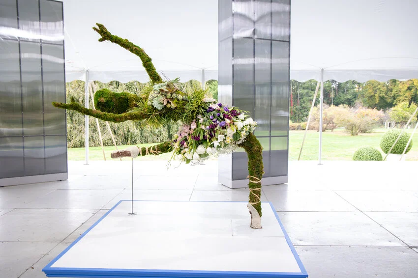 Photo courtesy of Discovery+