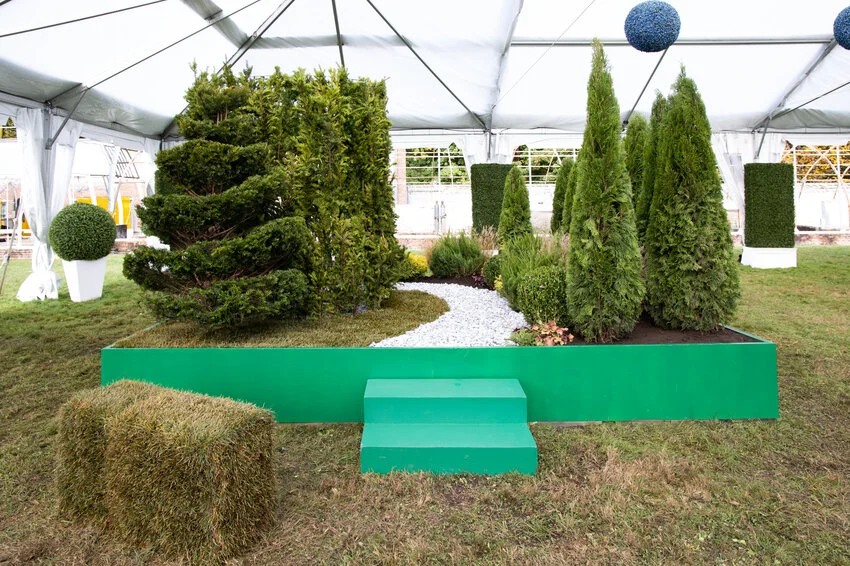 Photo courtesy of Discovery+