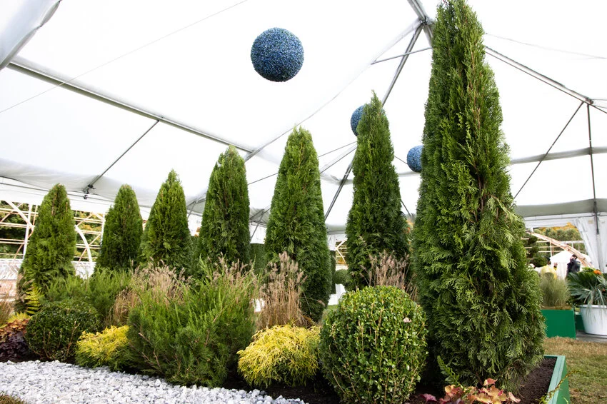 Photo courtesy of Discovery+