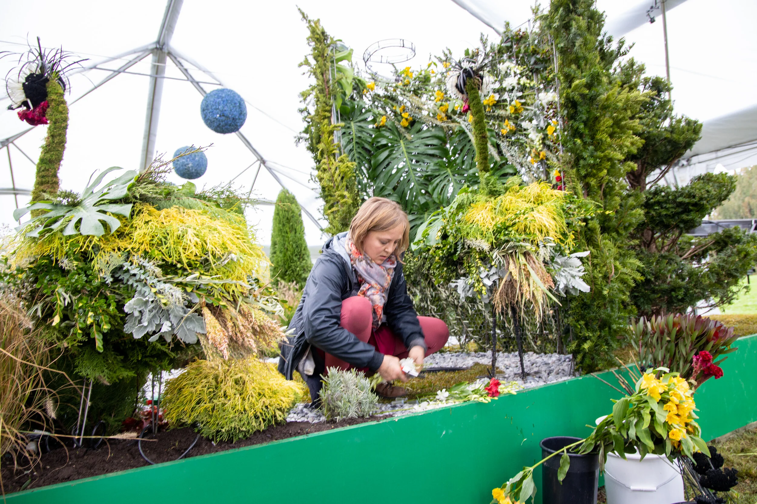 Photo courtesy of Discovery+