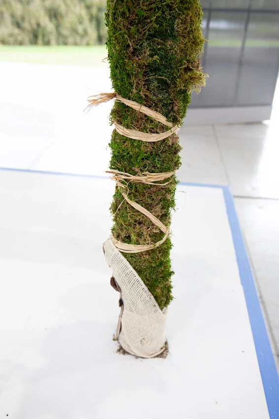 Photo courtesy of Discovery+