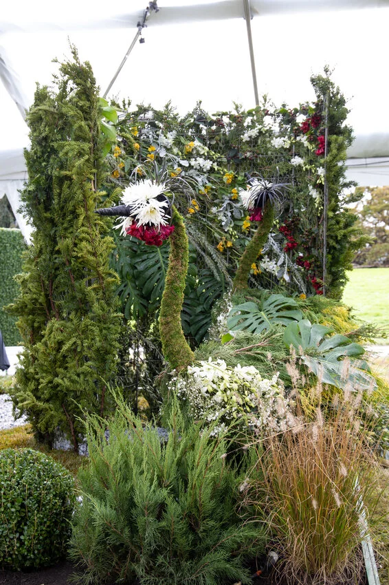 Photo courtesy of Discovery+