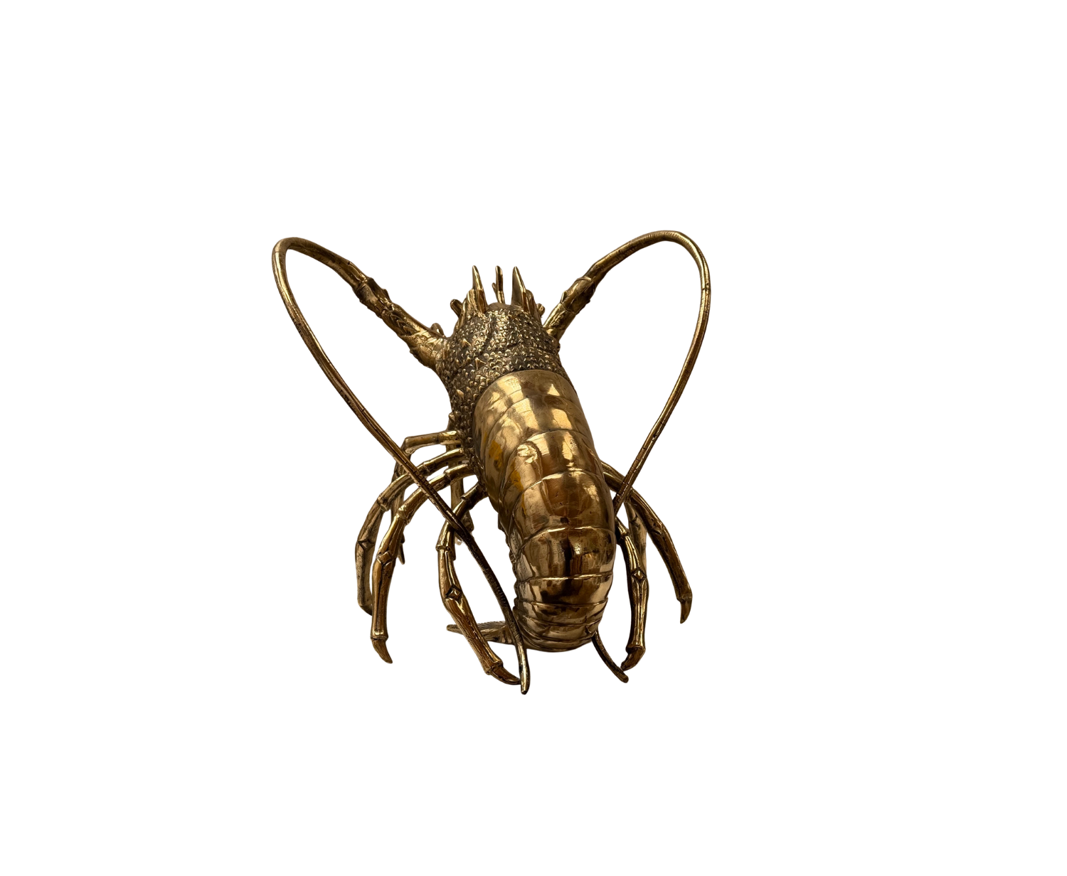 Cornish Crayfish in Gold ( Medium )