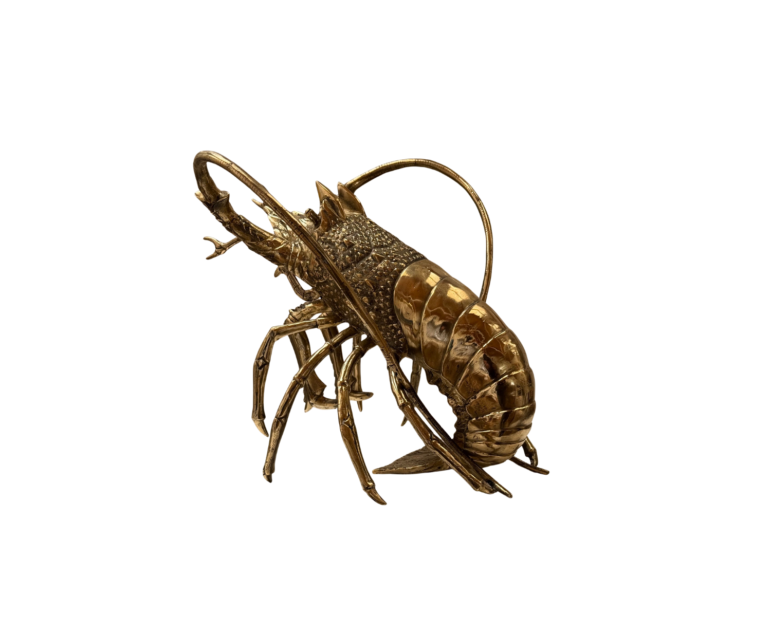Cornish Crayfish in Gold ( Extra Large )