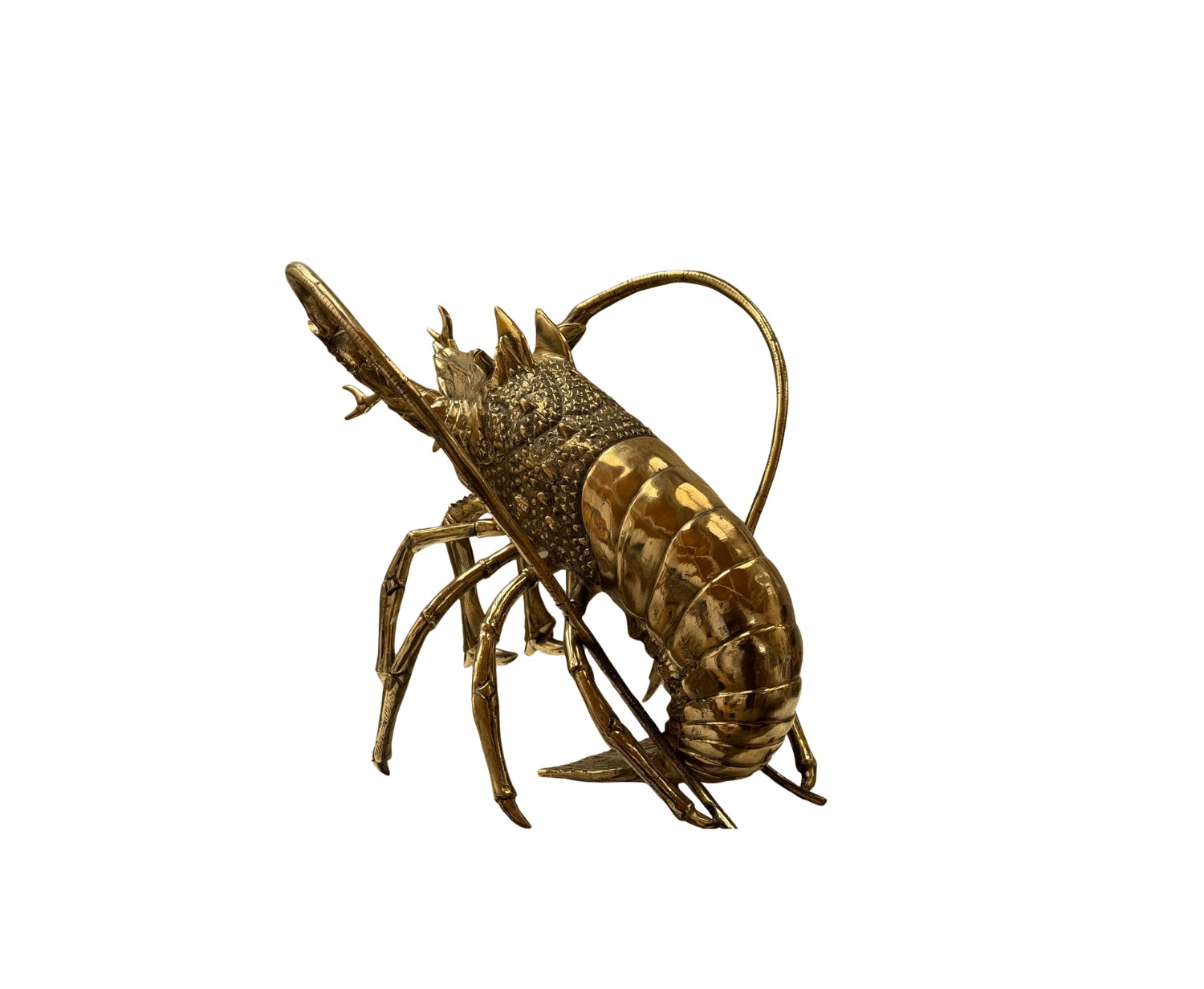 70.png