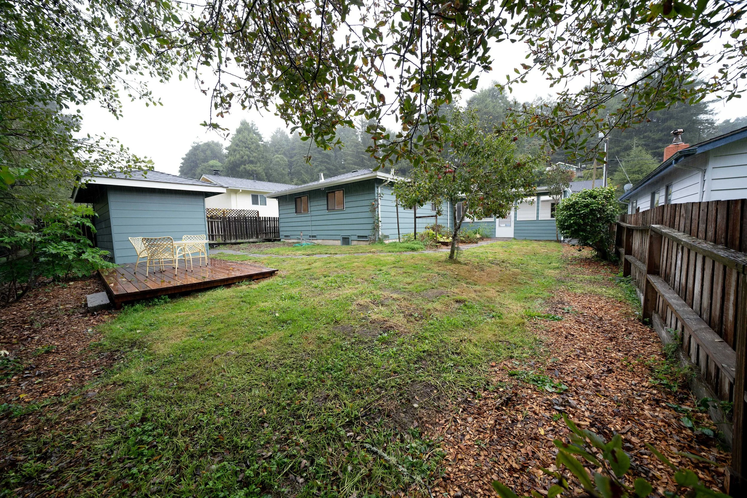 backyard-1d-DSC01196-web2.jpg