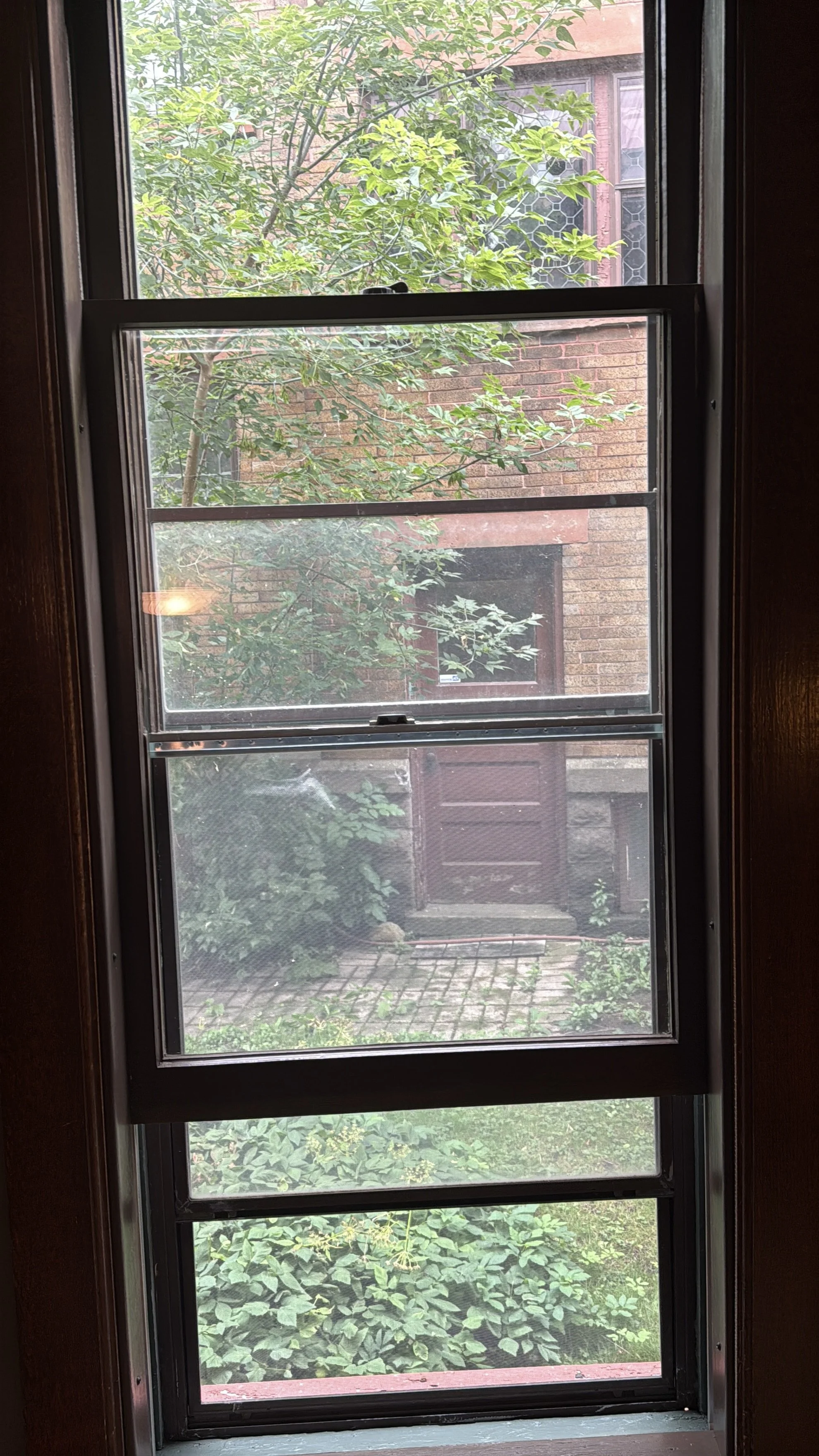 c. 1910 one over one double hung window. Full restoration. - Sault Ste. Marie, Michigan