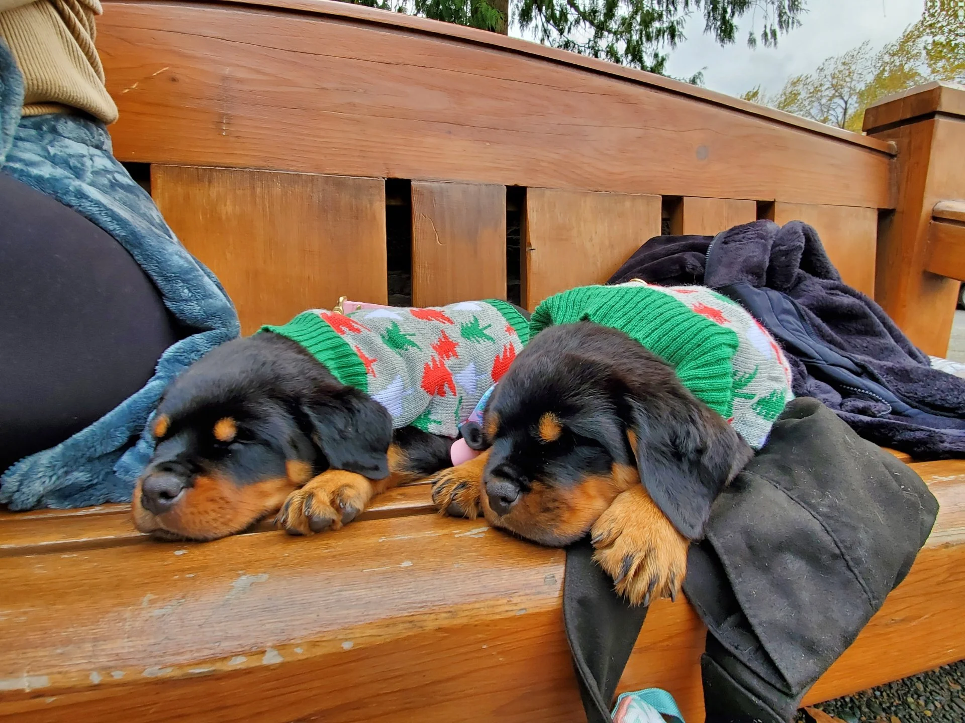 Baby photo of Athena and Artemis