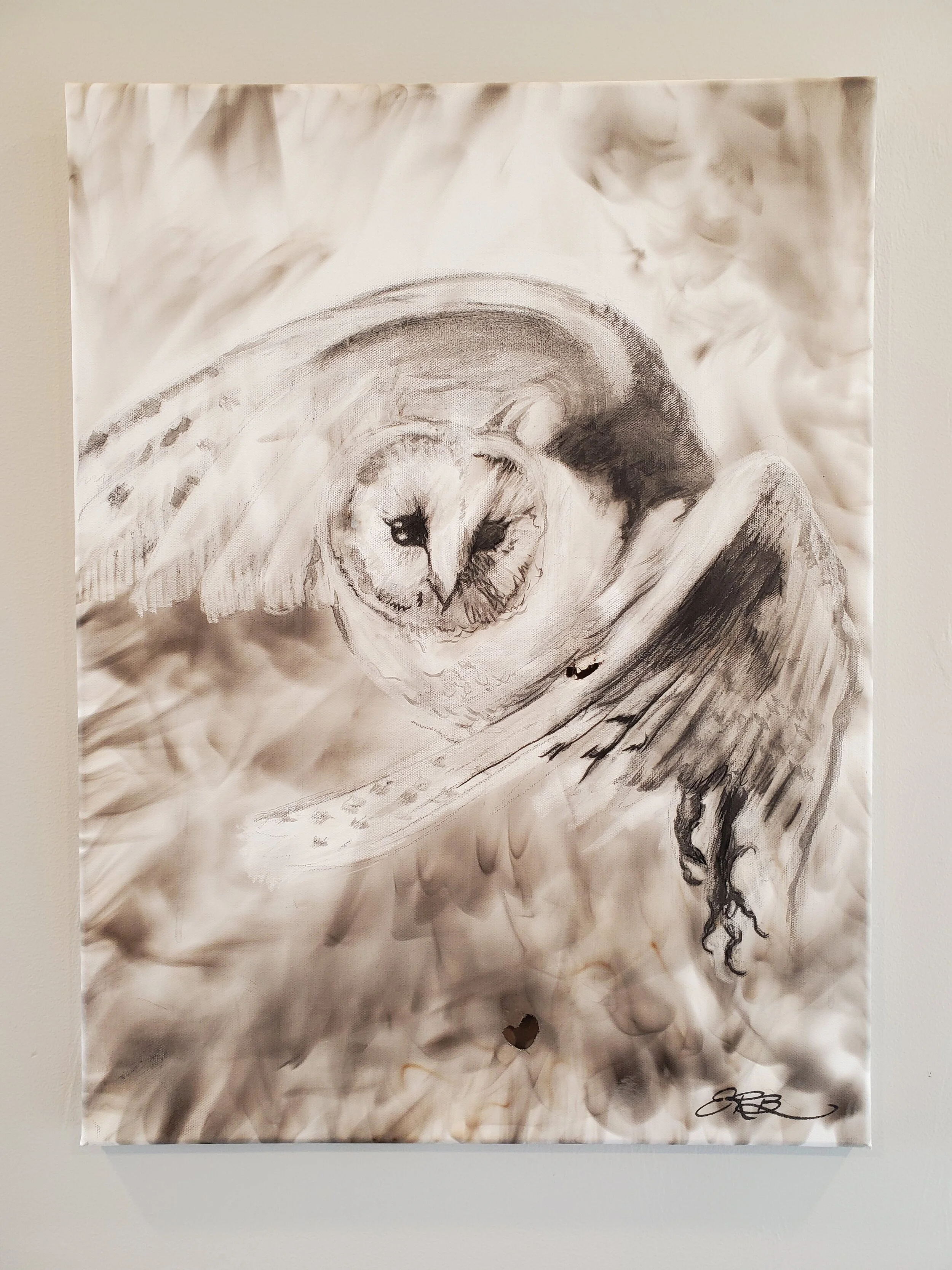 Barn Owl
Fumage (smoke) Mixed Media on Canvas
20" x 18"
SOLD