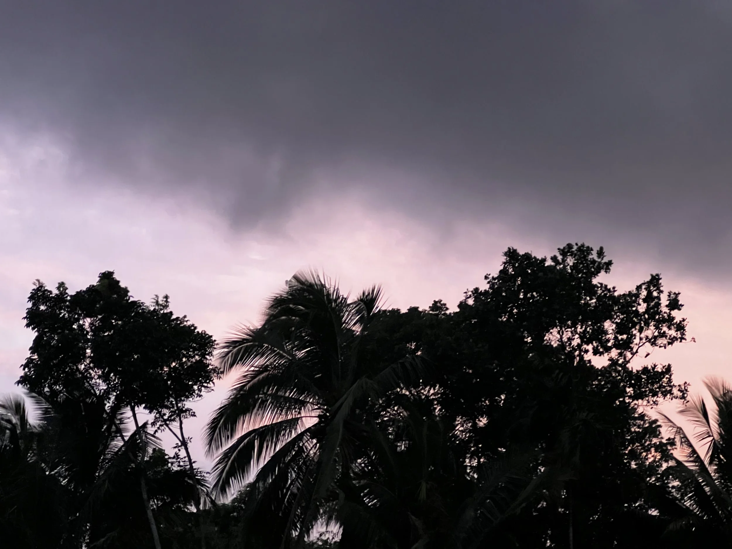 2025-12-29 18-46-03.jpg