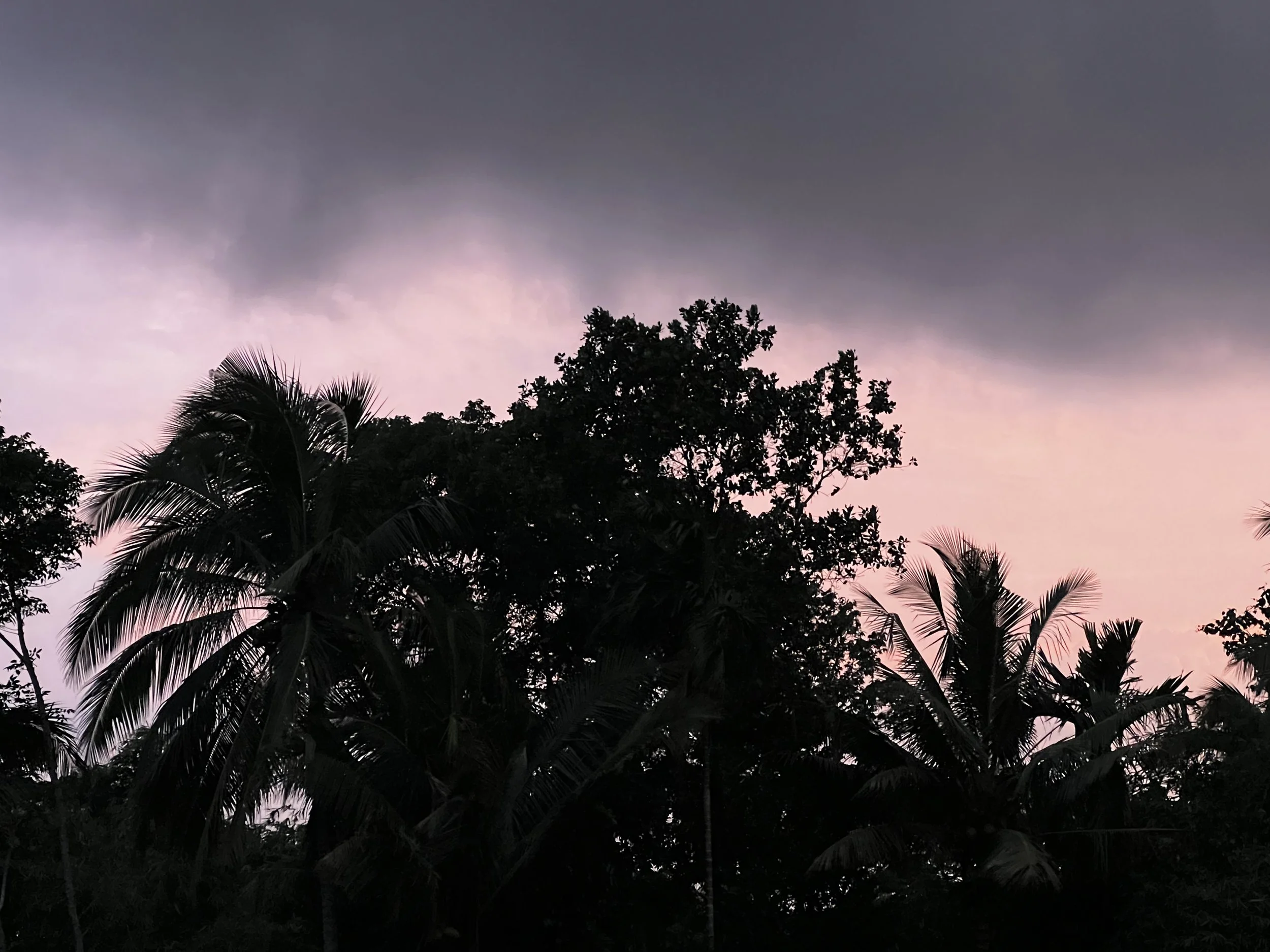 2025-12-29 18-45-51.jpg