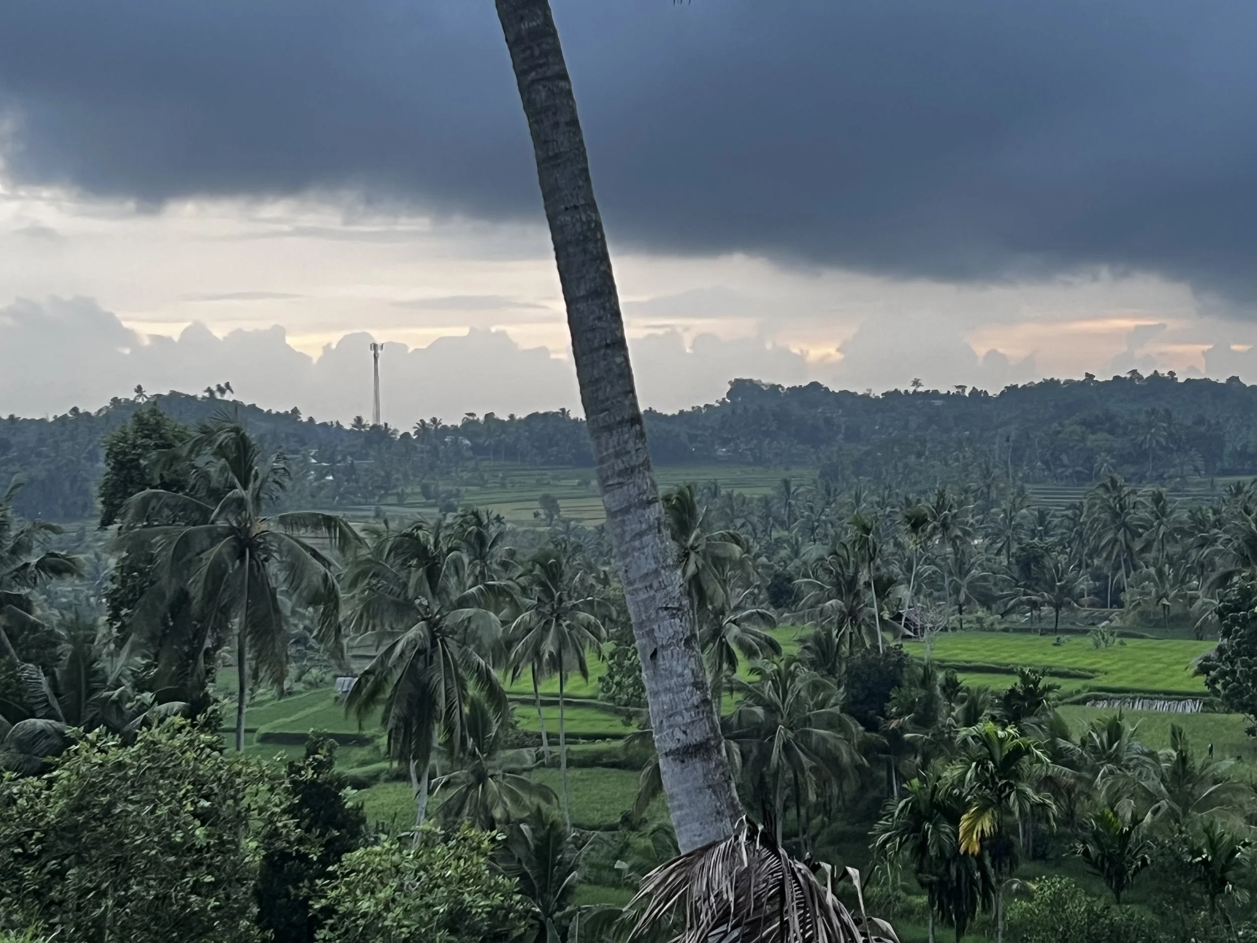 2025-12-29 18-32-51.jpg