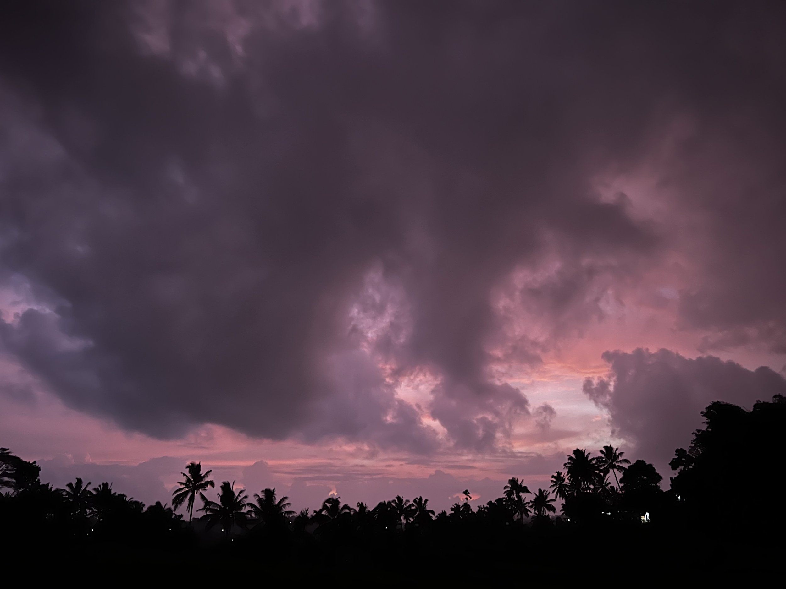Lambot (Lombok - Indonesia) - rice fields at sunset