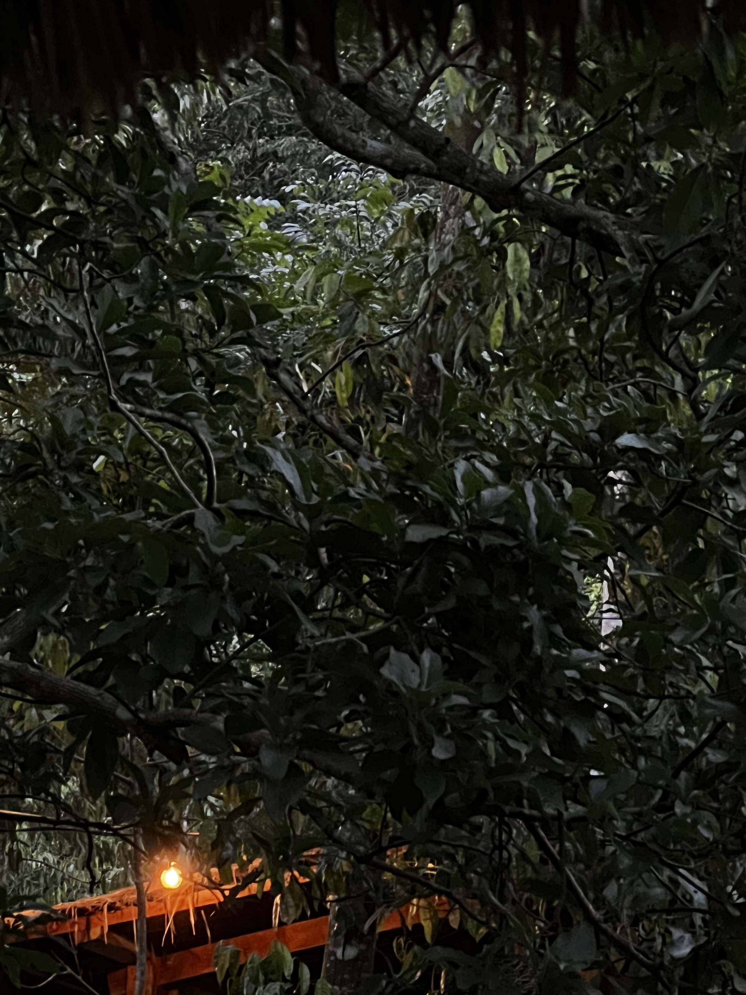 2025-12-28 18-25-36.jpg