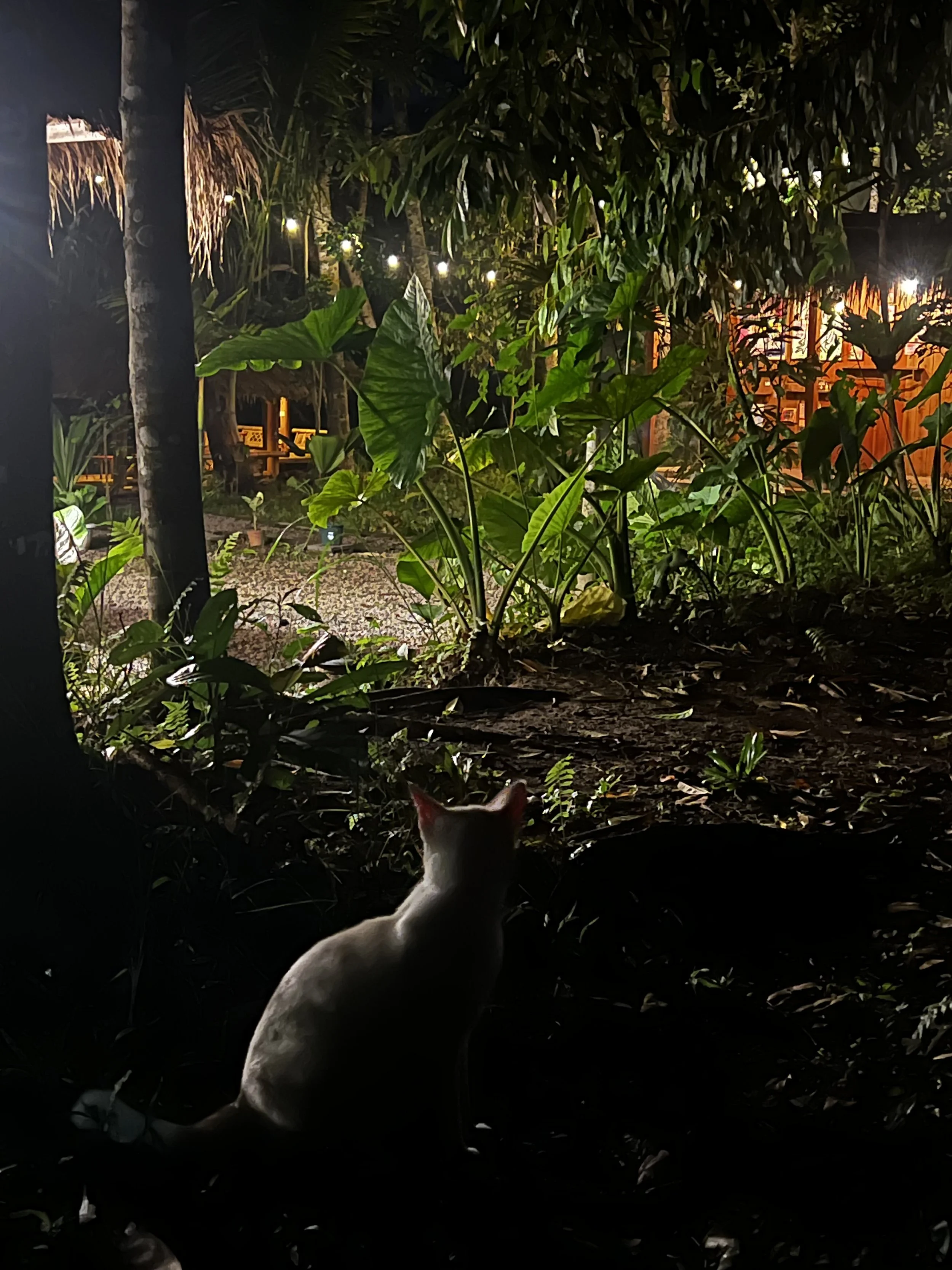 2025-12-28 19-10-10.jpg