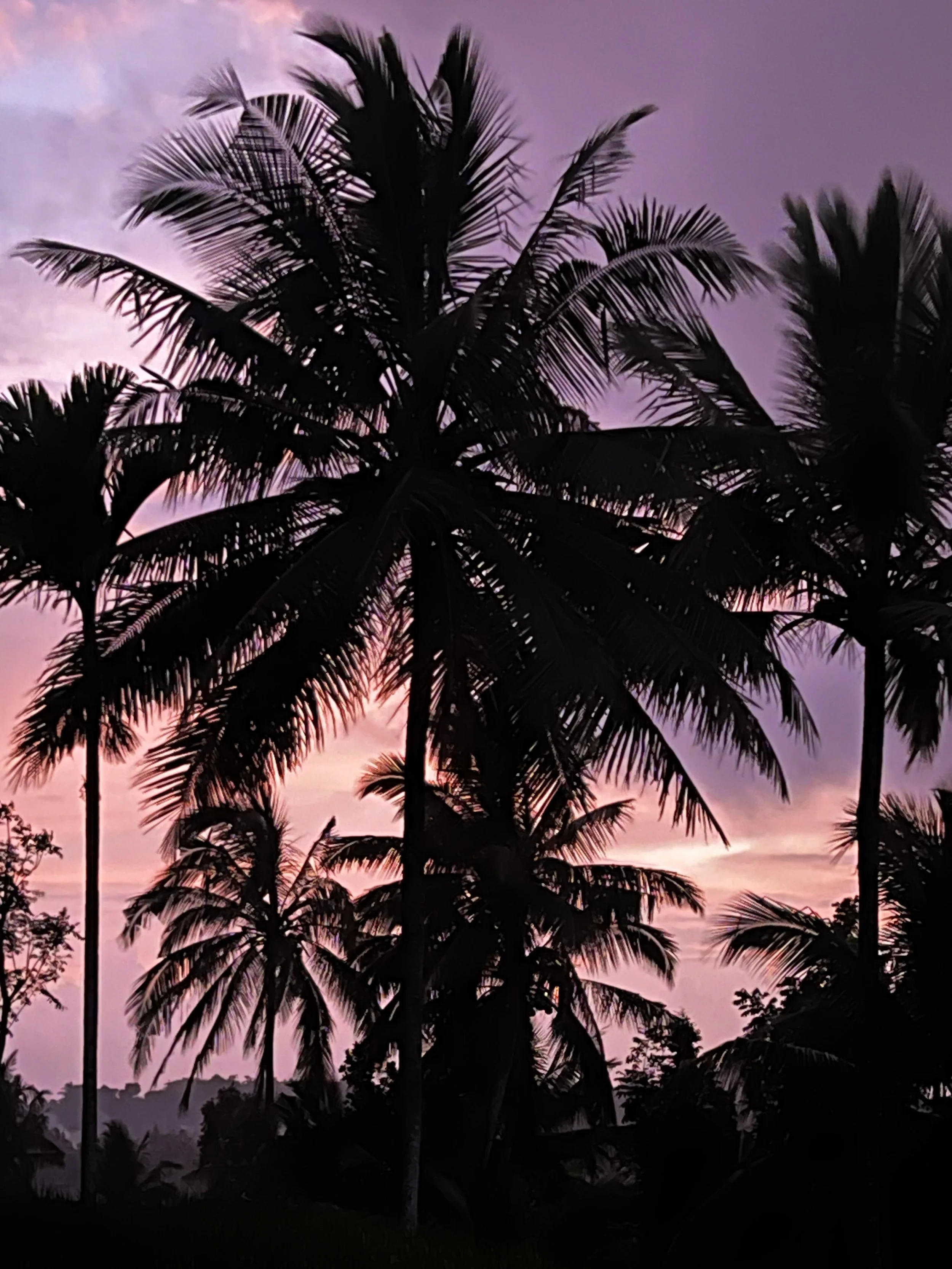 2025-12-29 18-55-01.jpg