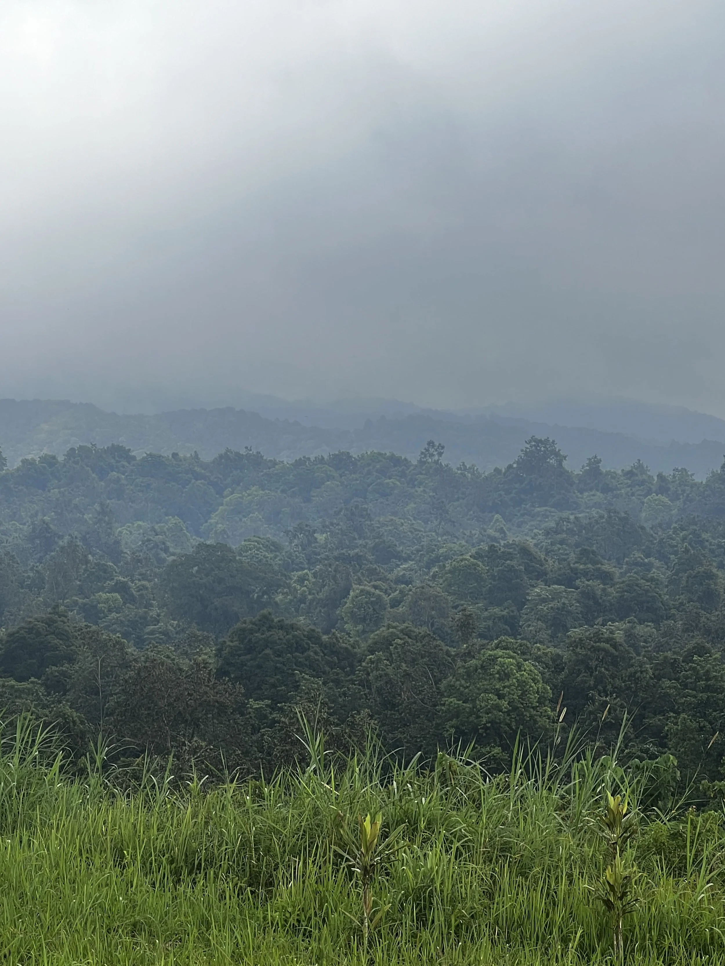 Tetebatu (Lombok - Indonesia) - The Hill
