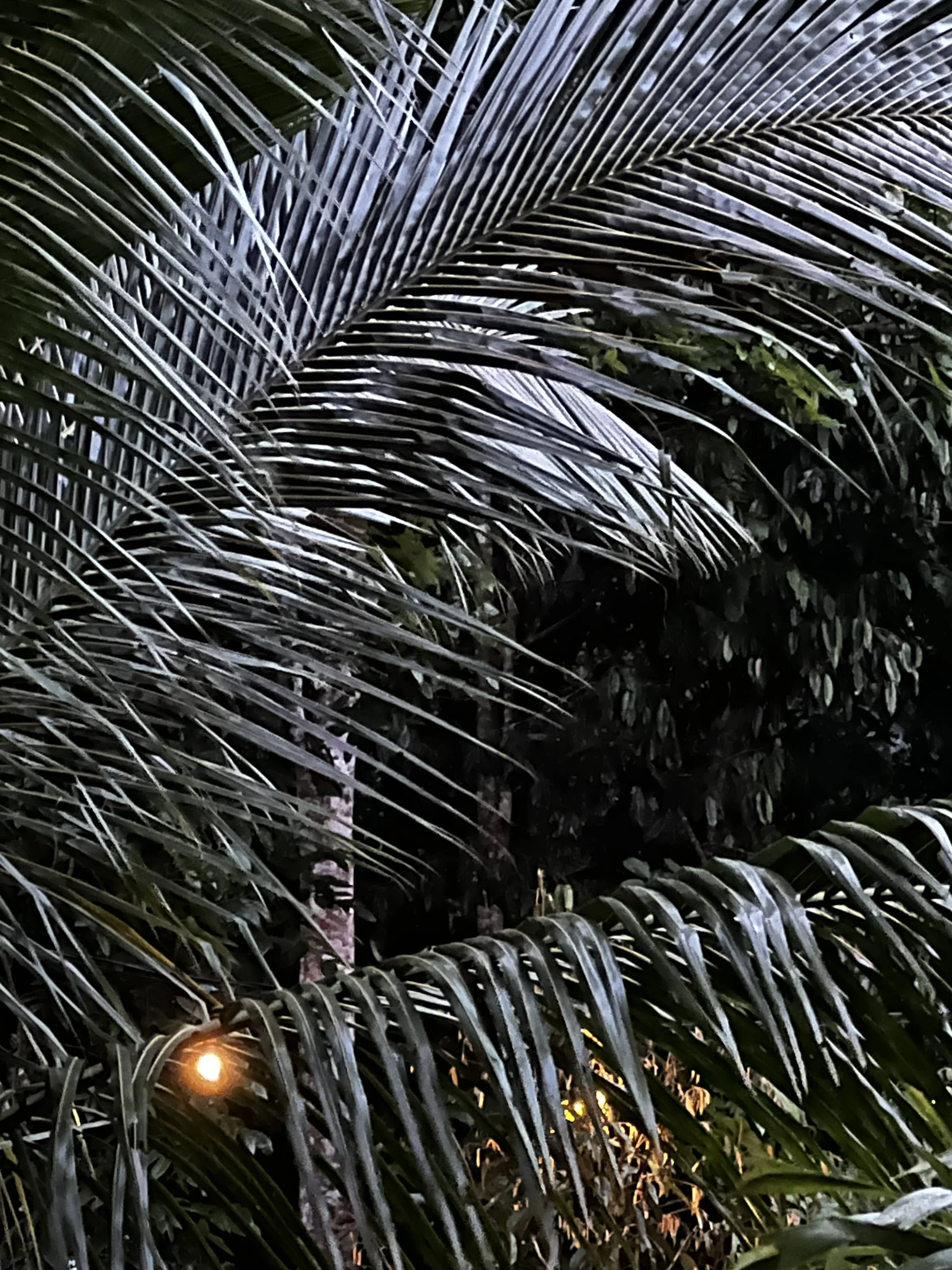 2025-12-28 18-38-50.jpg