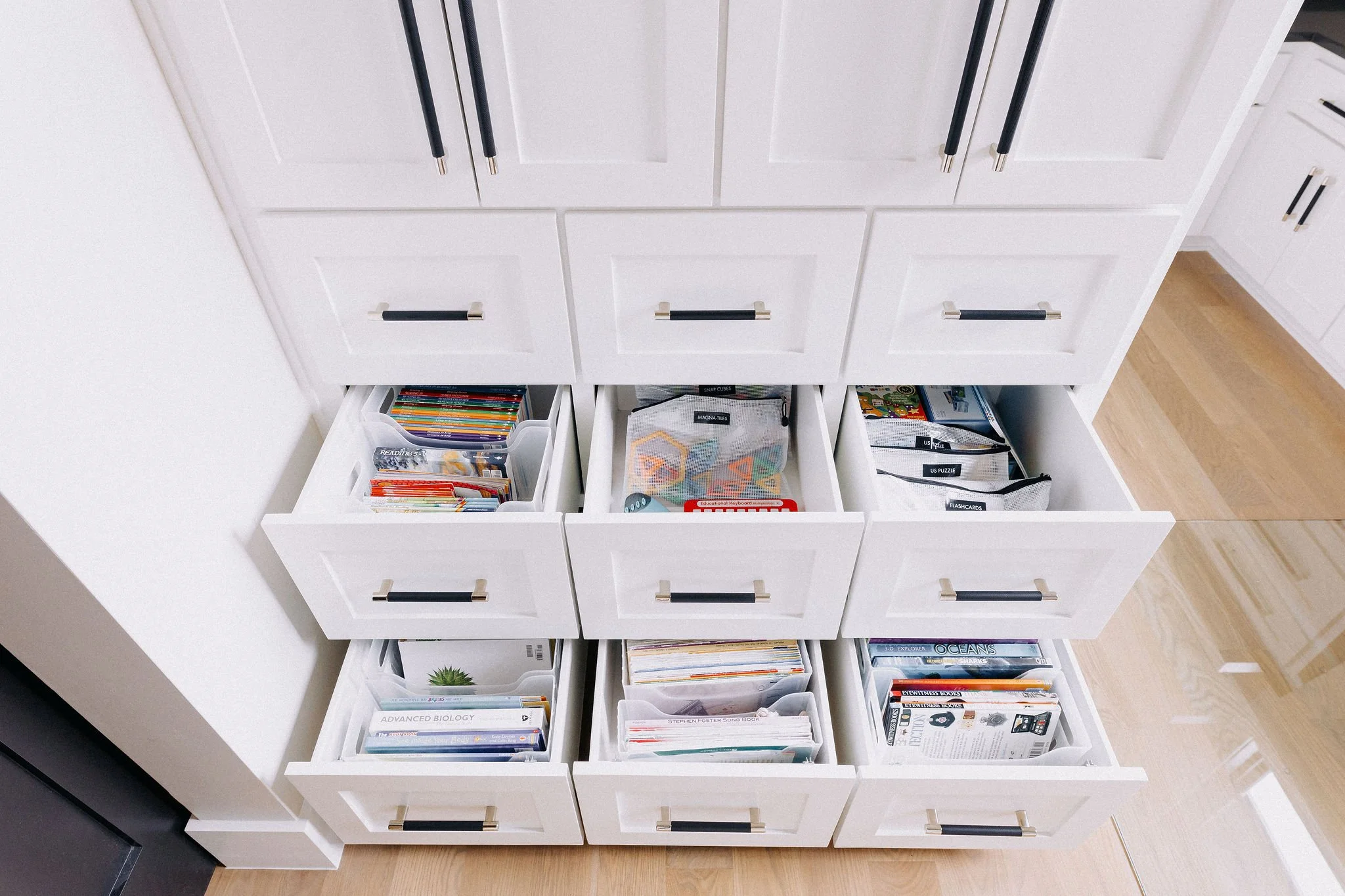 Organized storage bags and categories maintained in home organizing system