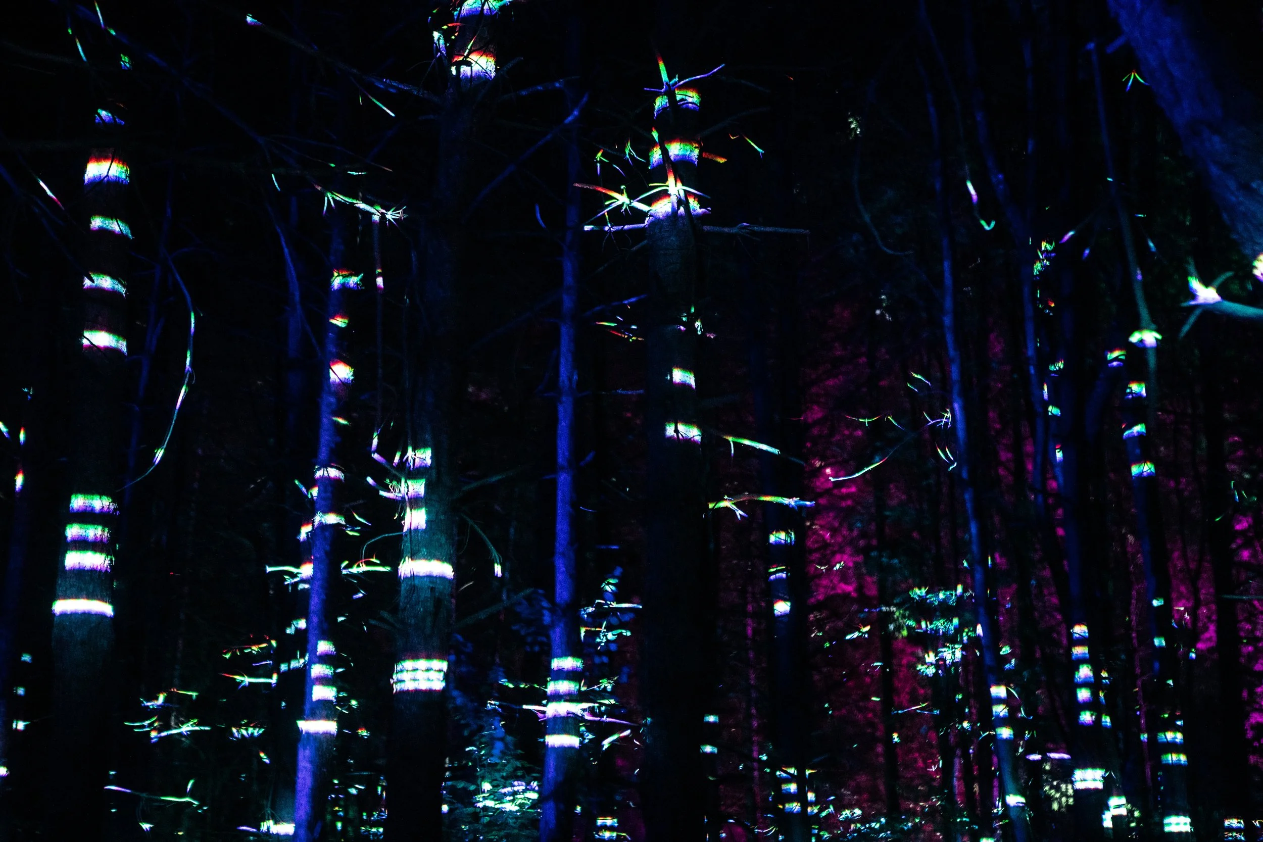 Projection design at Stowaway Festival.
