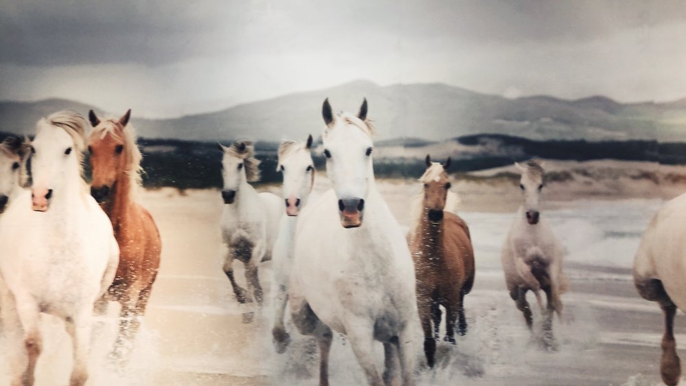 Sugar Daisy Boutique