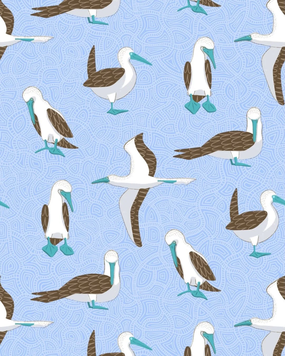 Blue-Footed Booby Parade 🐦💙
This week&rsquo;s prompt for @thetuesdaycollective led me to one of the most delightfully quirky birds on the planet. I loved drawing these charming seabirds with their impossibly blue feet and arranging them into a play