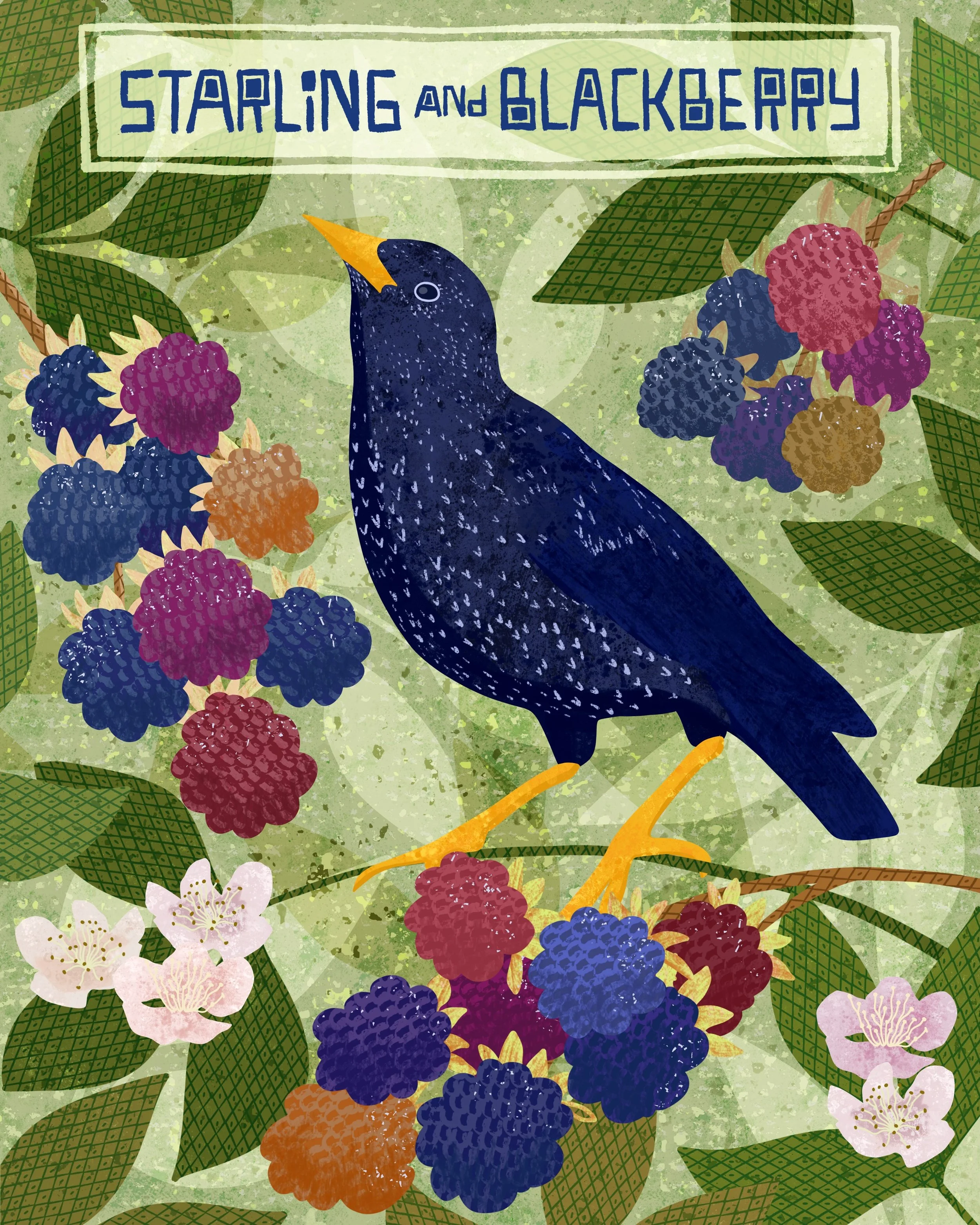 Continuing curiously, along this path of drawing for the sheer pleasure of it. 🌿

This week&rsquo;s #BotanicalBeasties2026 prompt is Starling + Blackberry, and I found myself completely absorbed in representing bird and berries. There&rsquo;s someth