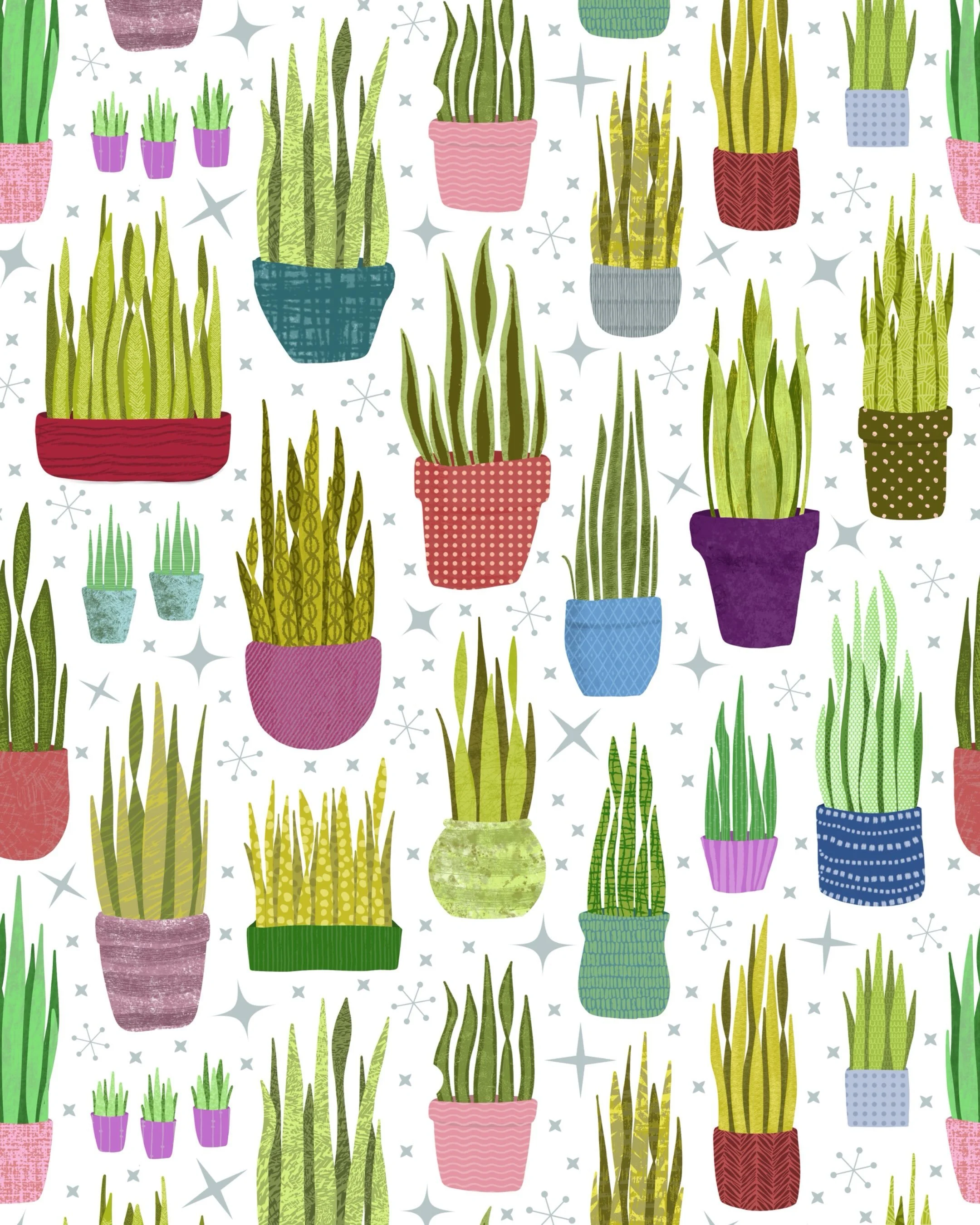 This week&rsquo;s @thetuesdaycollective prompt is Snake Plant. 🌿 

I love the architectural quality &mdash; those tall, graphic leaves seem almost designed rather than grown. 

Snake plants also use a type of photosynthesis that allows them to open 