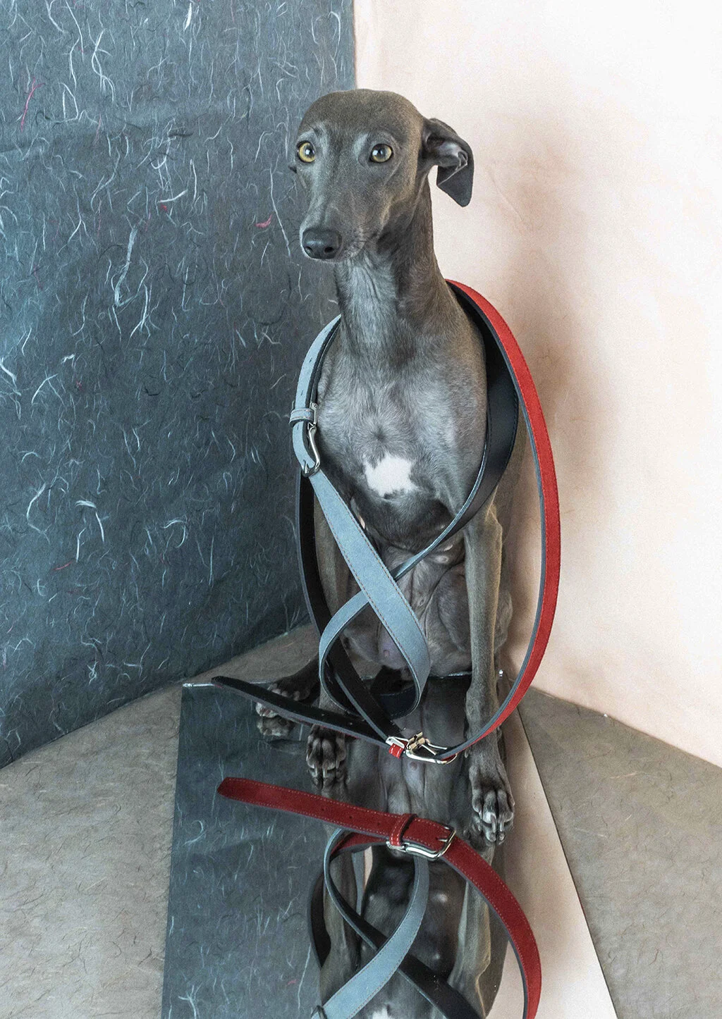 entregar producto elena web71n.jpg